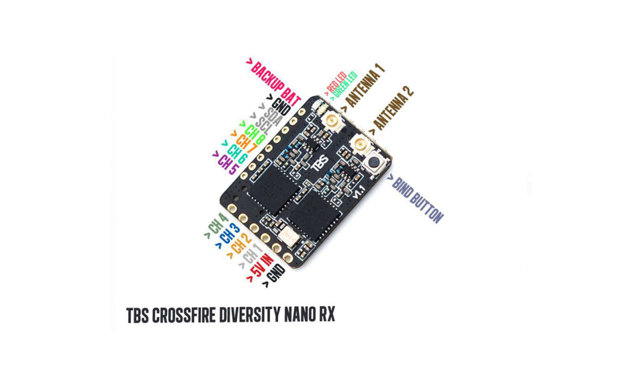 Diversity Nano RX_3.png