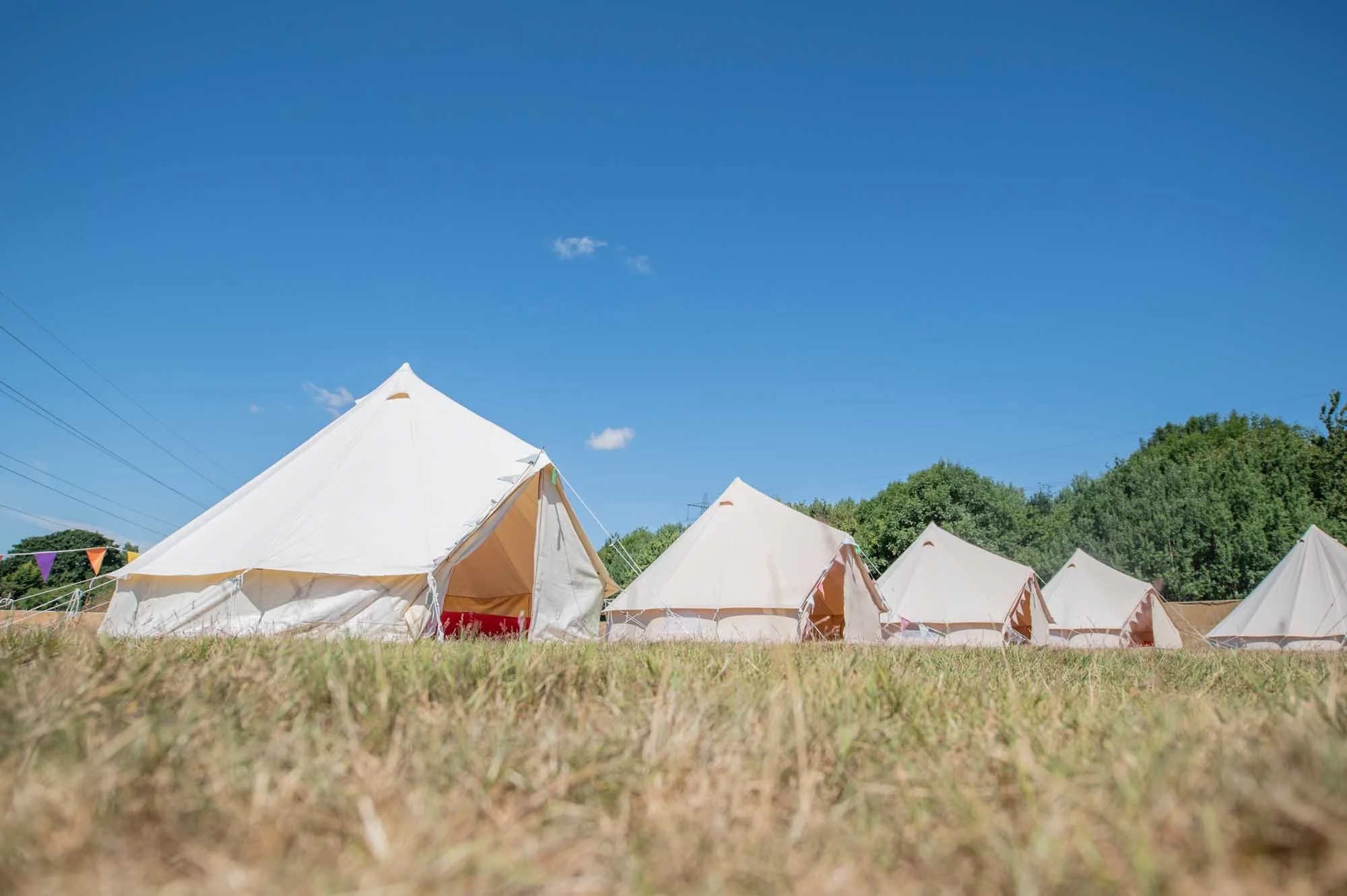 VIP-Camping-Matt-Higgs-4461.jpg