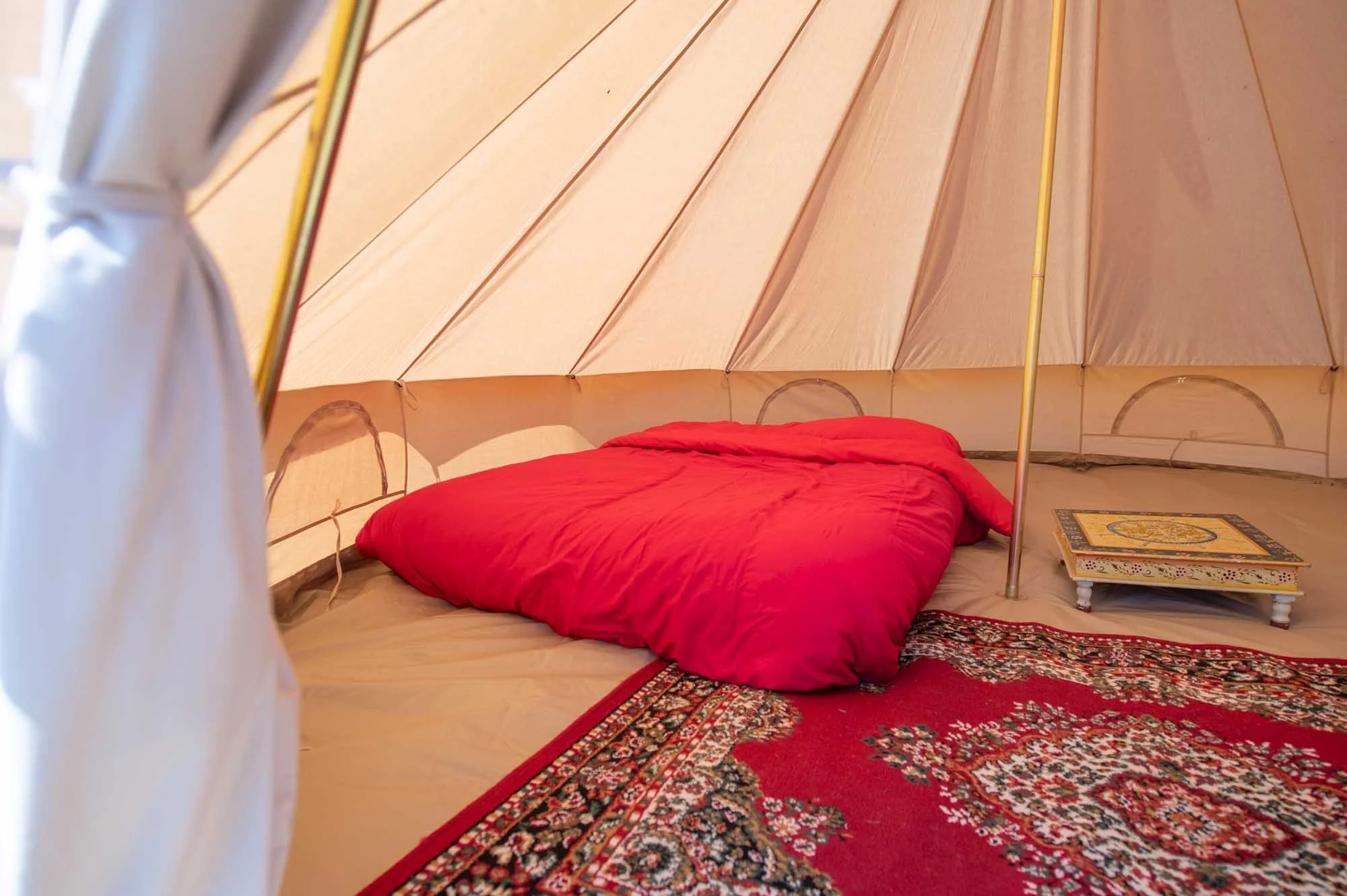 VIP-Camping-Matt-Higgs-4475.jpg