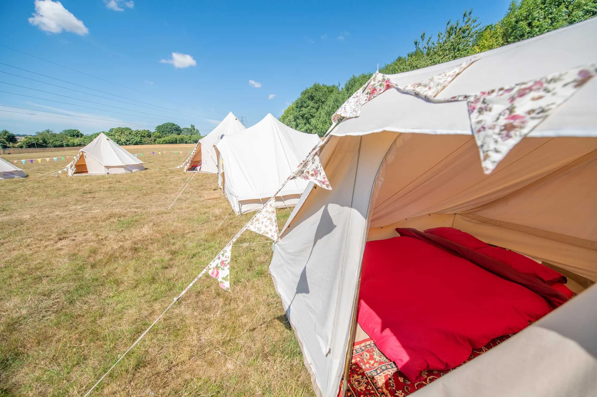 VIP-Camping-Matt-Higgs-4454.jpg
