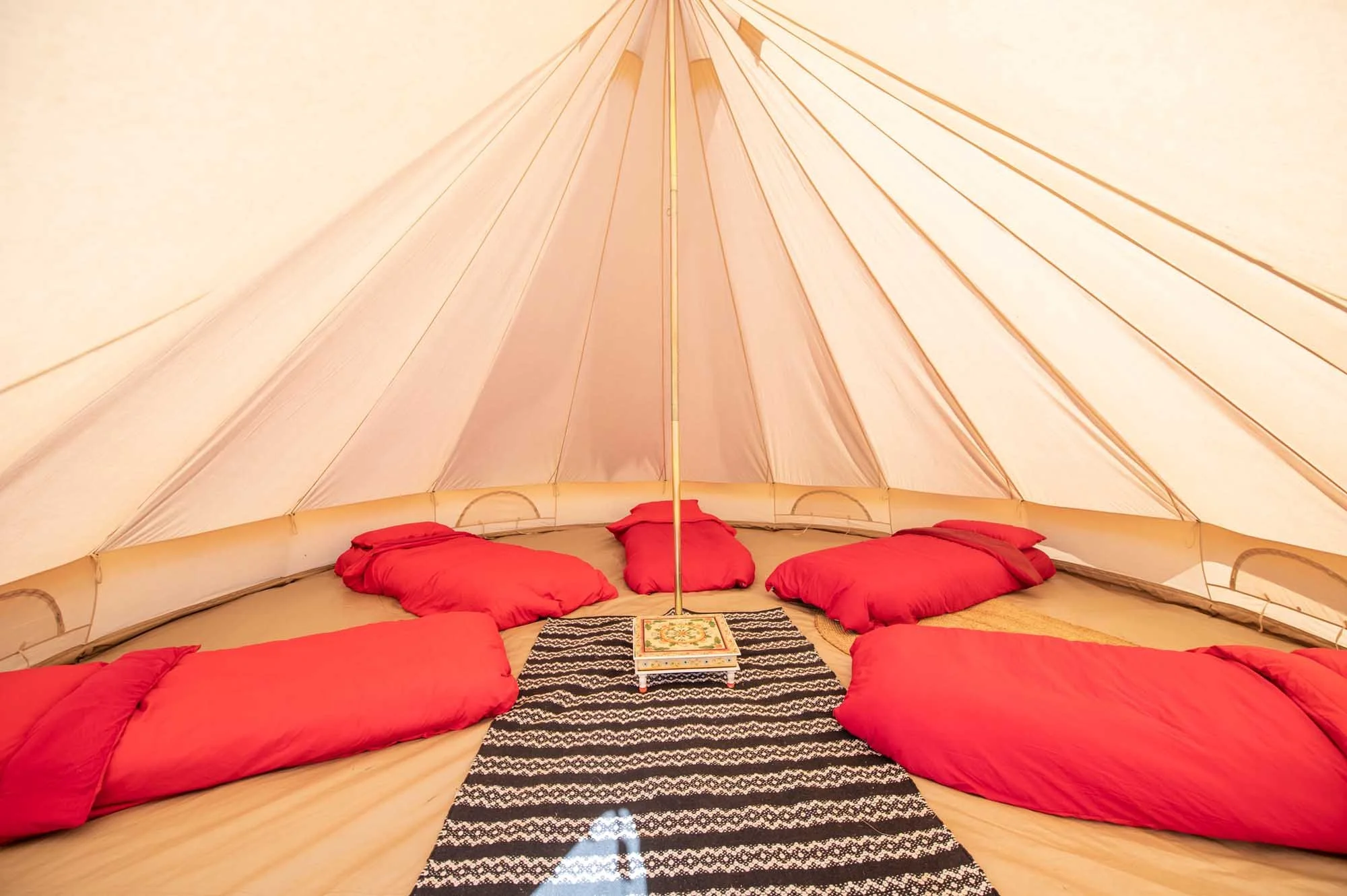 VIP-Camping-Matt-Higgs-4391-2.jpg