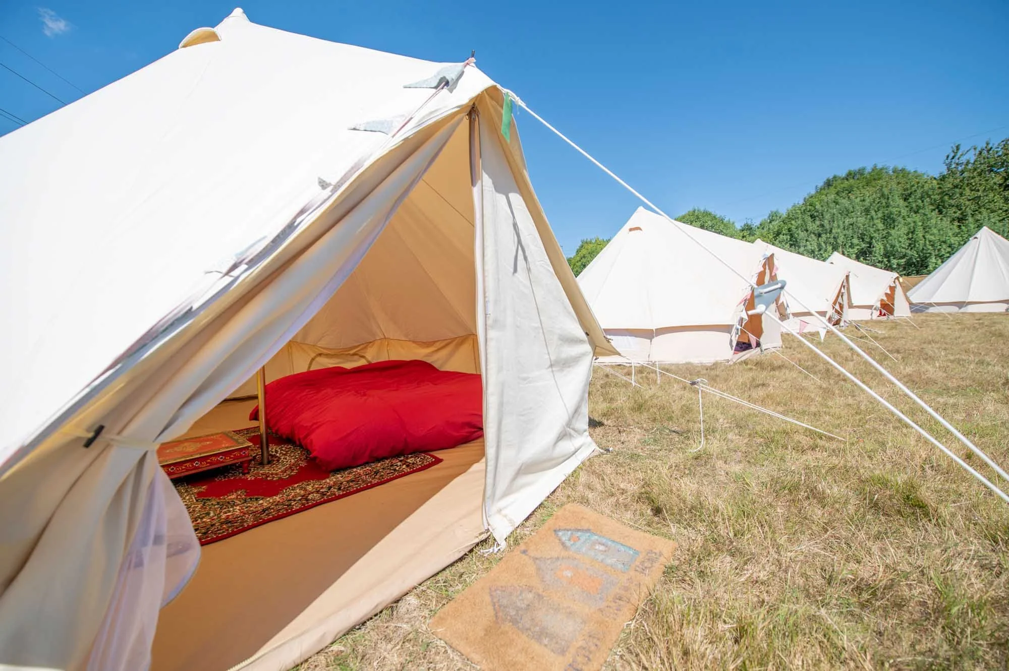 VIP-Camping-Matt-Higgs-4383.jpg
