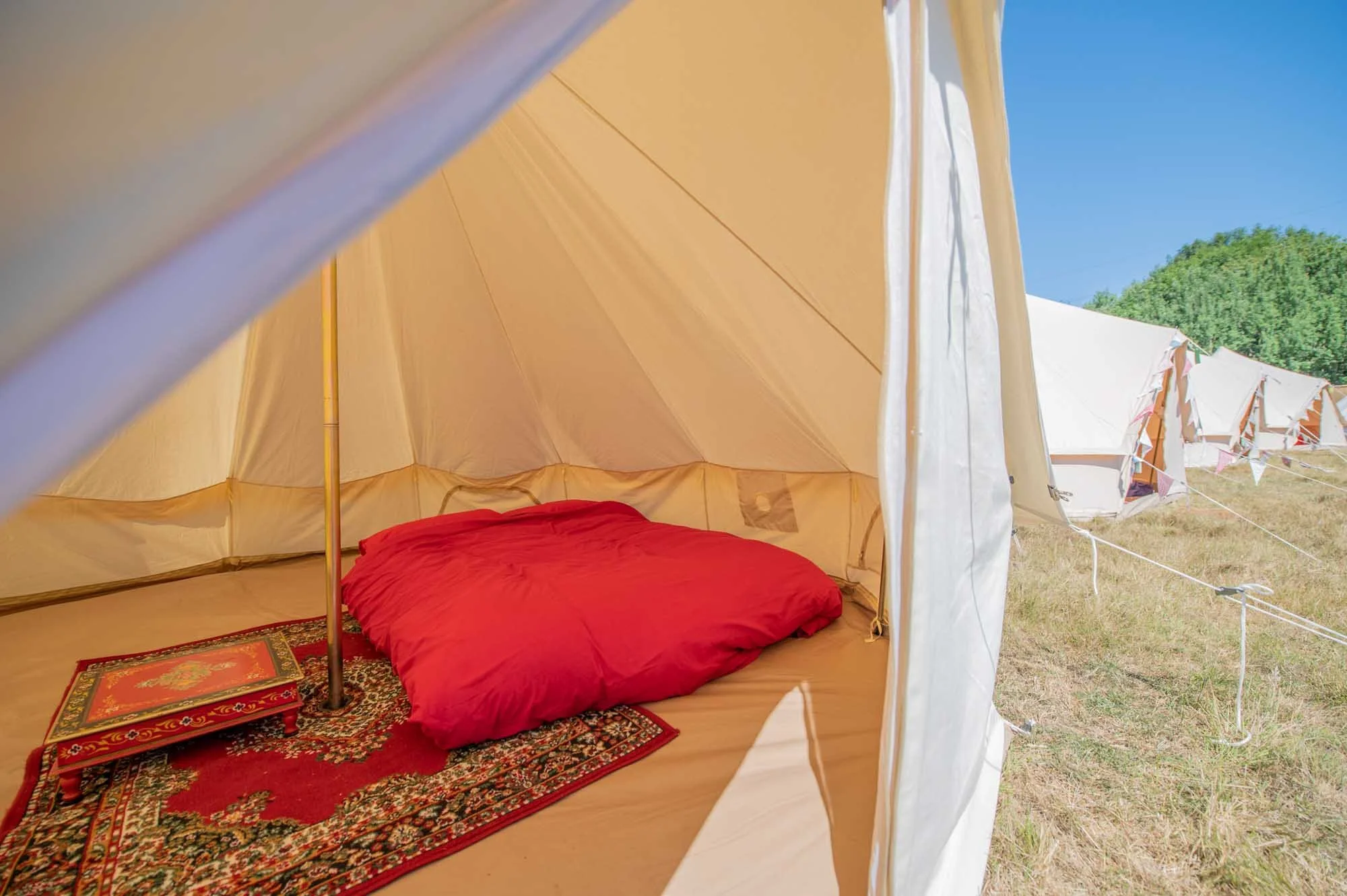 VIP-Camping-Matt-Higgs-4382.jpg
