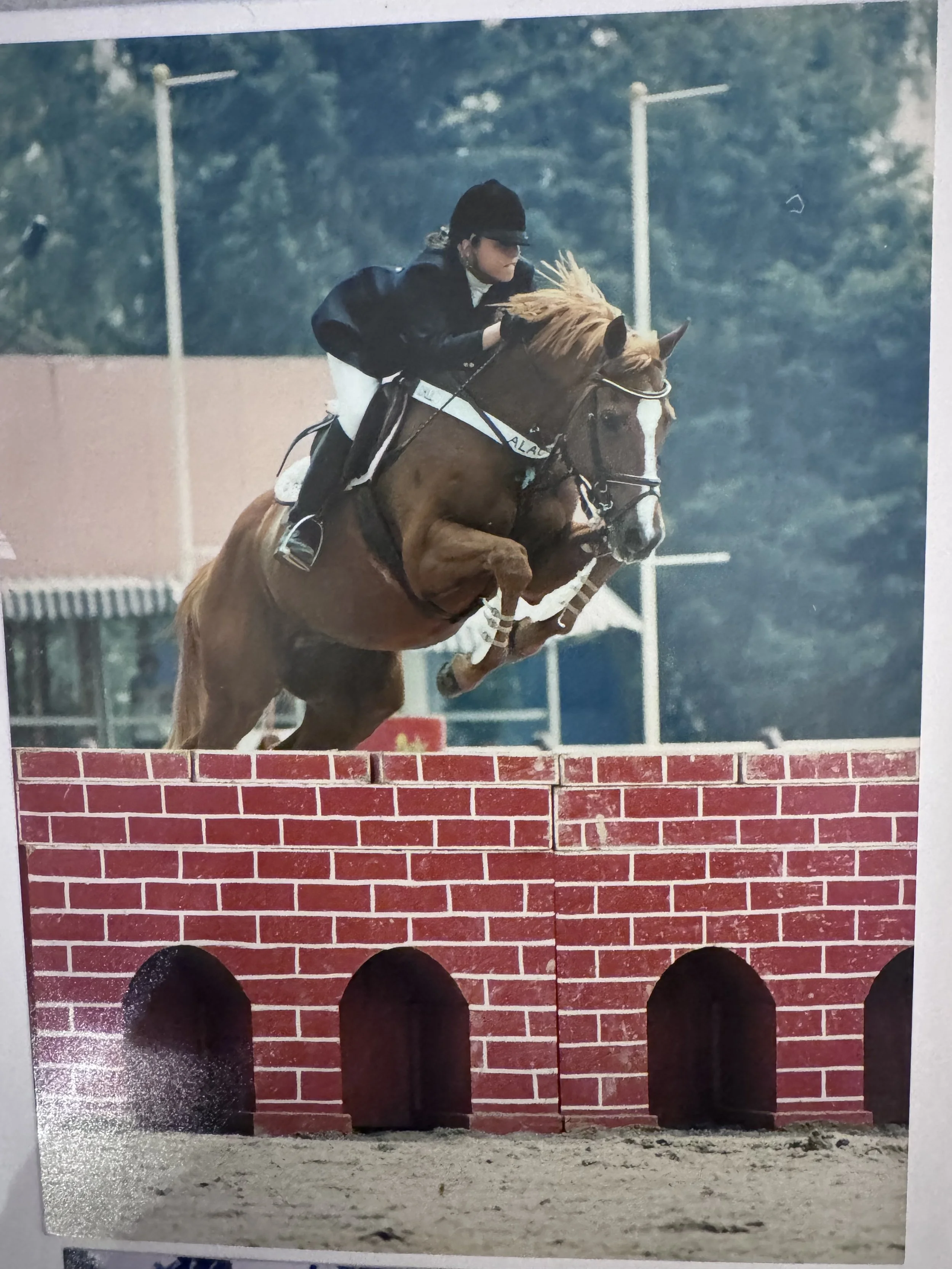 The Fire Horse Year Explained: Yin, Yang &amp; The Five Elements