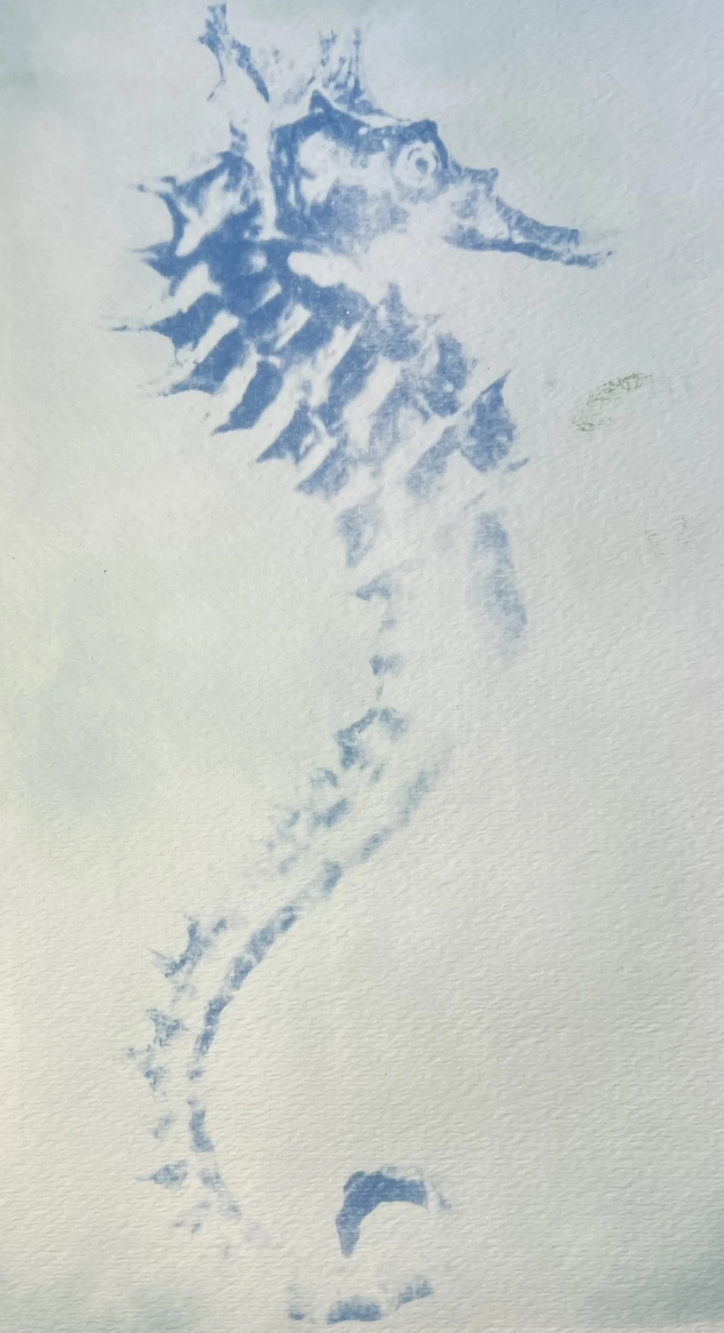 8F940D30-FA0B-4B9F-B68A-444D0381880D.jpeg