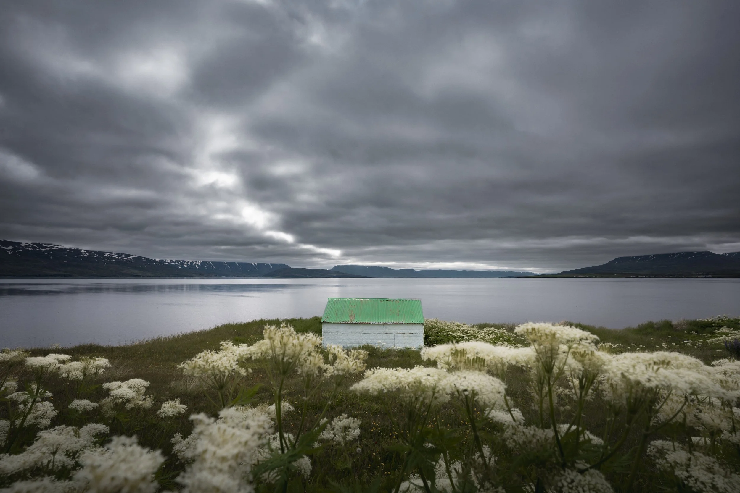A small house with a green roof near a body of water under a cloudy sky, surrounded by white flowering plants.