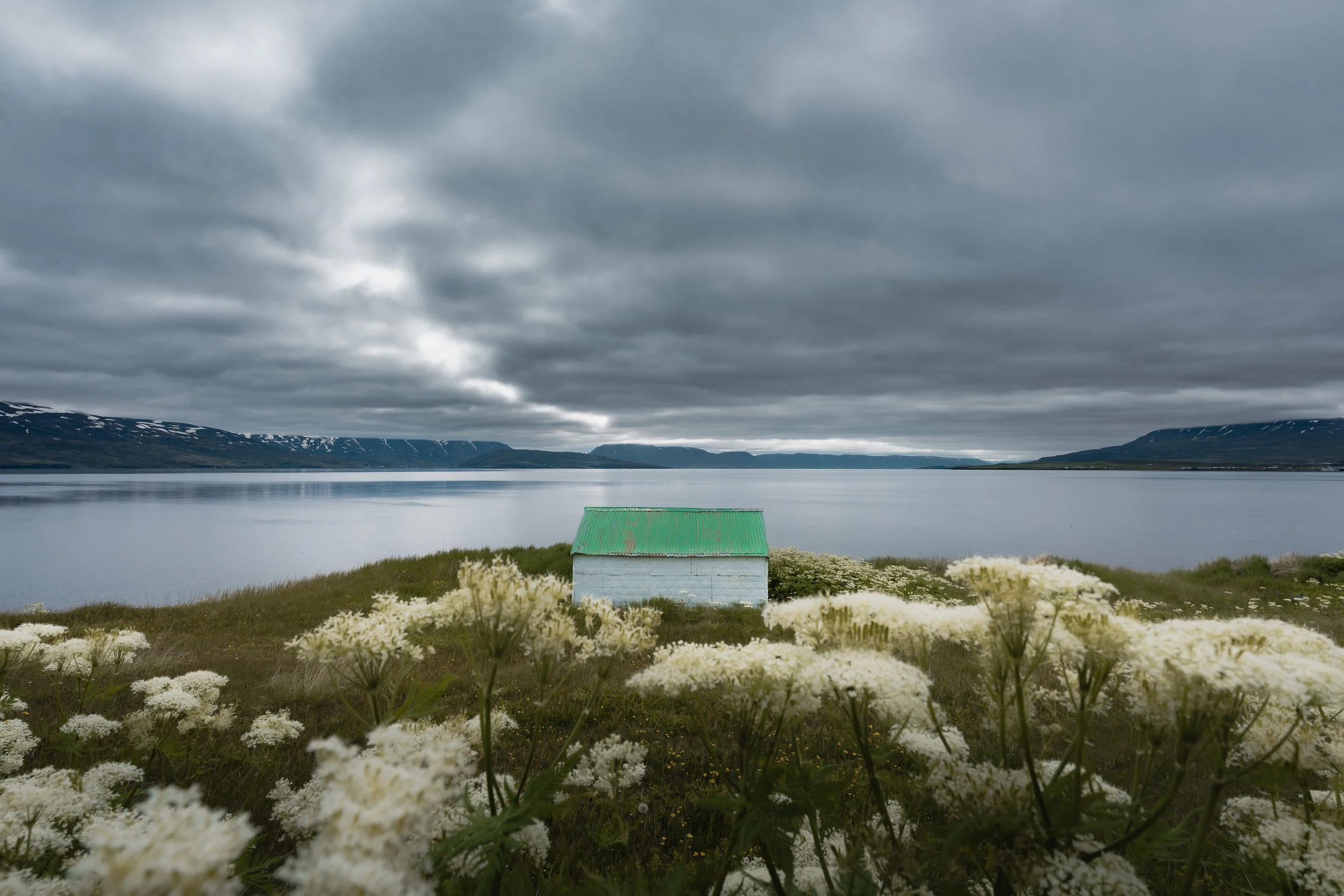 A small cabin rests at the edge of a quiet fjord, surrounded by wildflowers and open land. In the distance, mountains fade into low clouds, blurring the line between earth and sky. There’s a stillness here that feels untouched—where time slows, and e