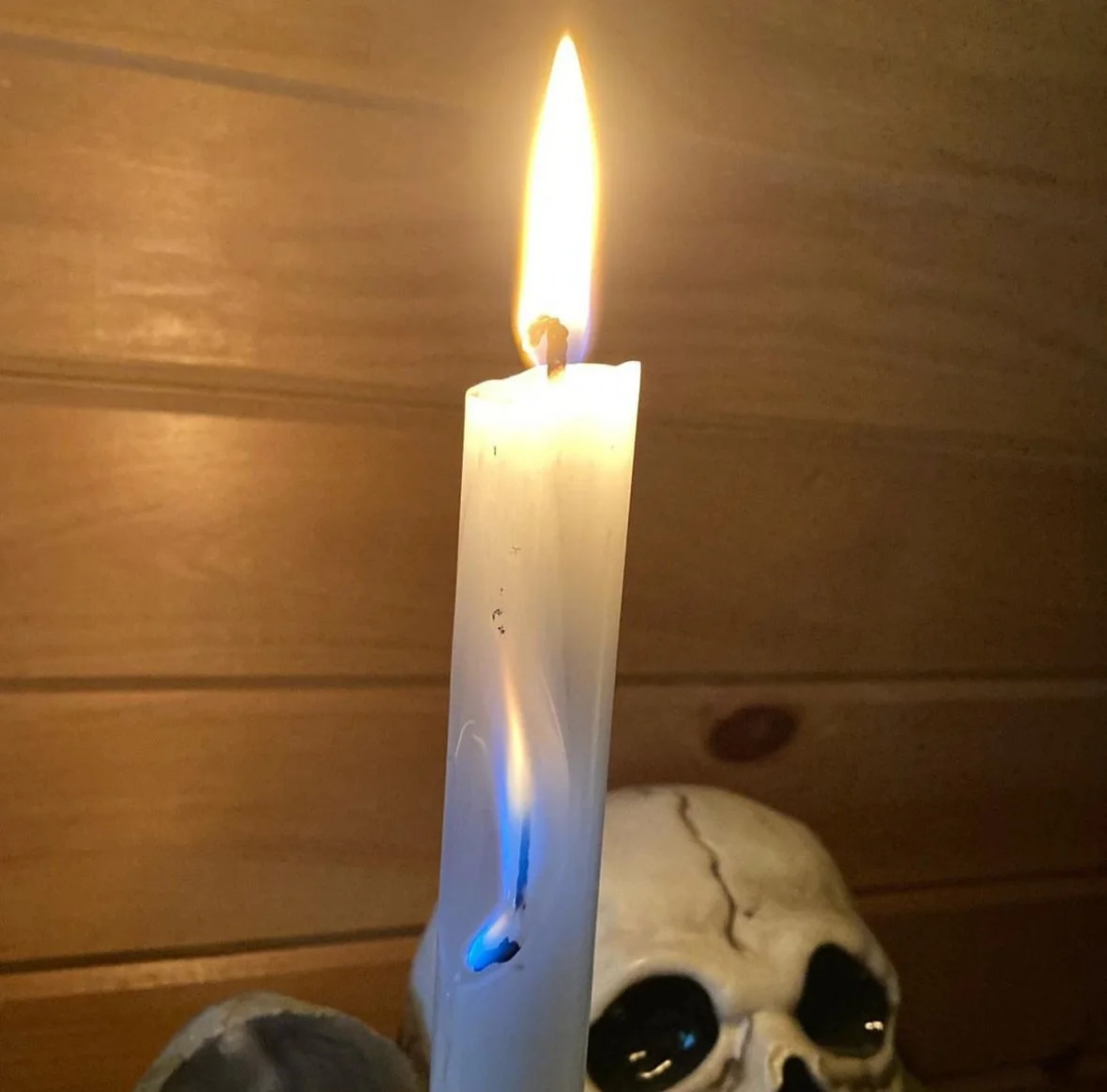 IMG_3894.PNG