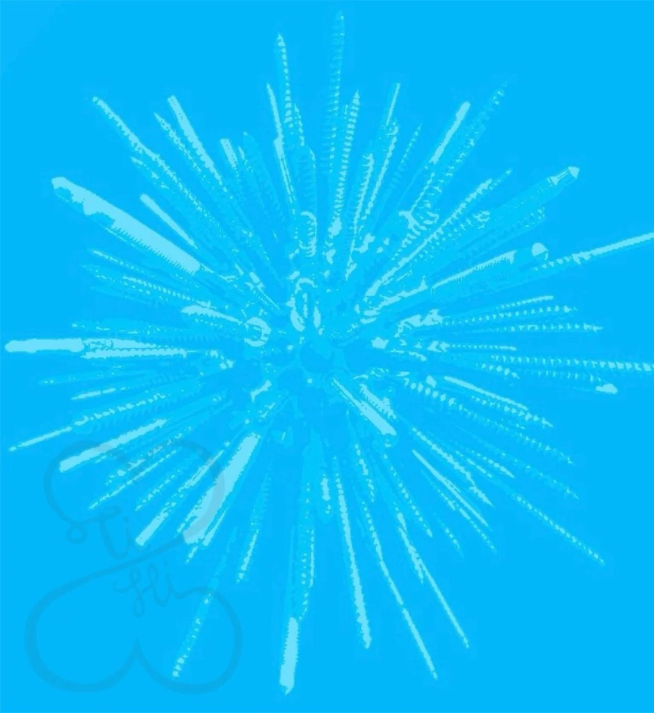 Bazaart_016C7DB8-4AE0-4A8B-A62C-F4B9710AEA7F.jpeg