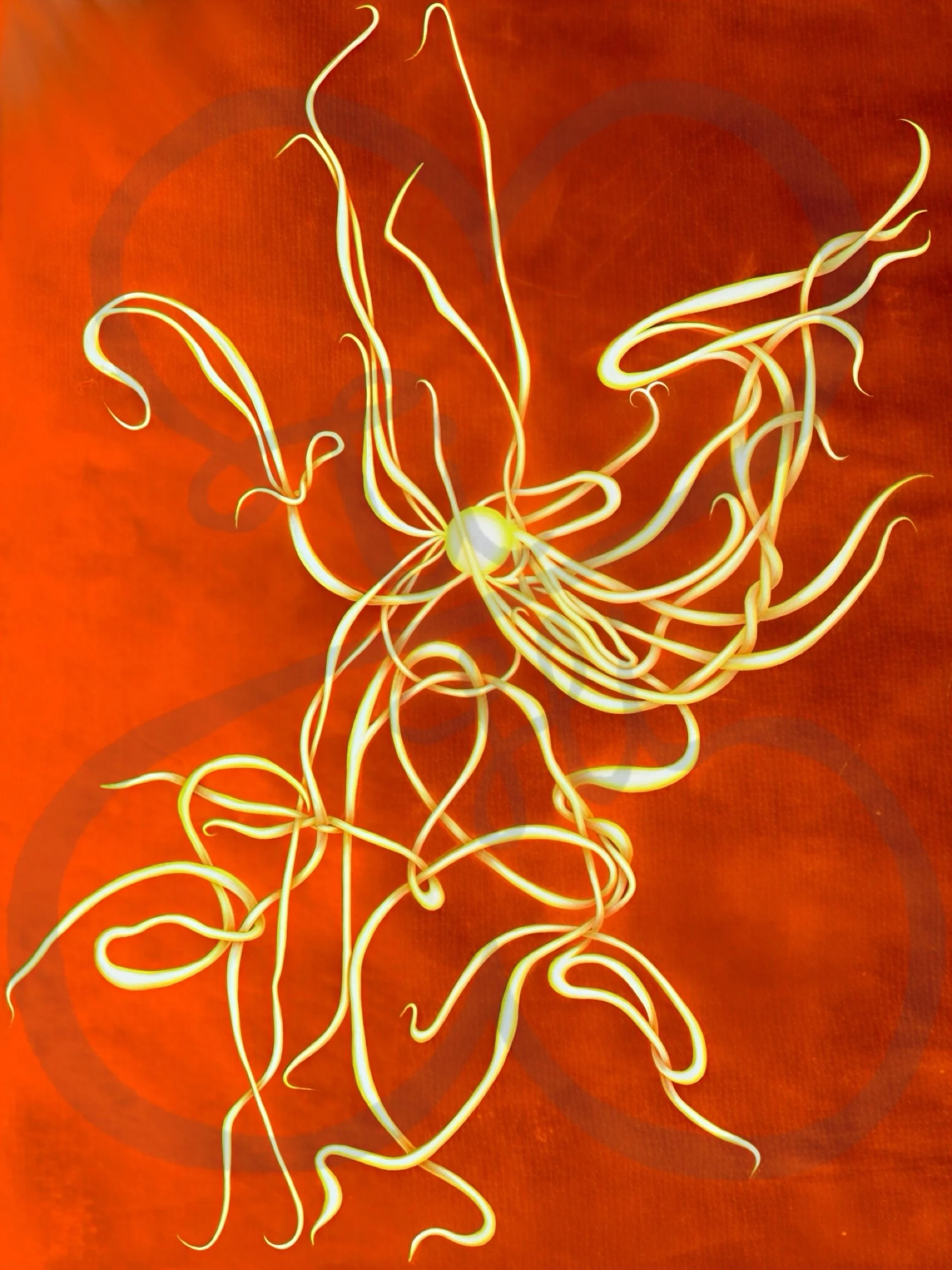 Bazaart_1DD62B78-12E6-40AF-A904-23E4DF4496C2.jpeg
