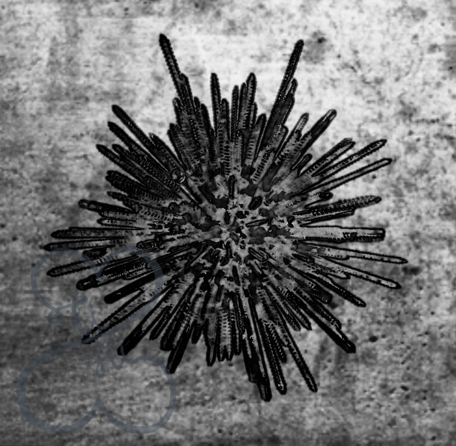 Bazaart_8175DBEB-8332-40C0-8F50-D6AD37F6C353.jpeg