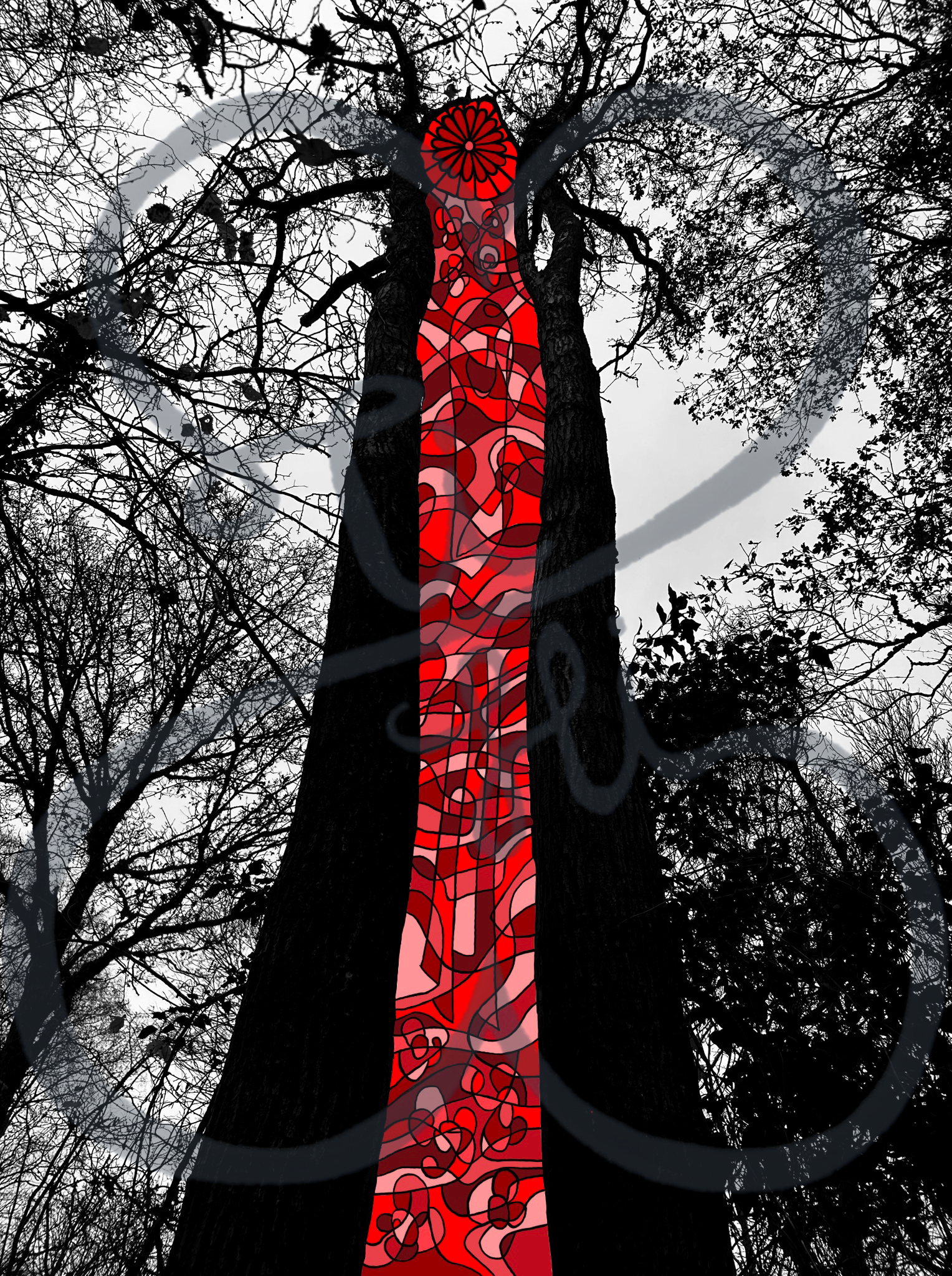 Bazaart_D0552D7E-931F-464A-9425-5AF9C27C5ECB.png