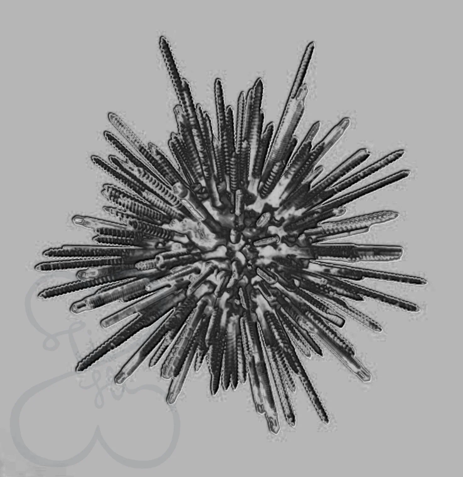 Bazaart_74EBD259-5AC7-40C6-A9FC-E0C22A22AC51.jpeg