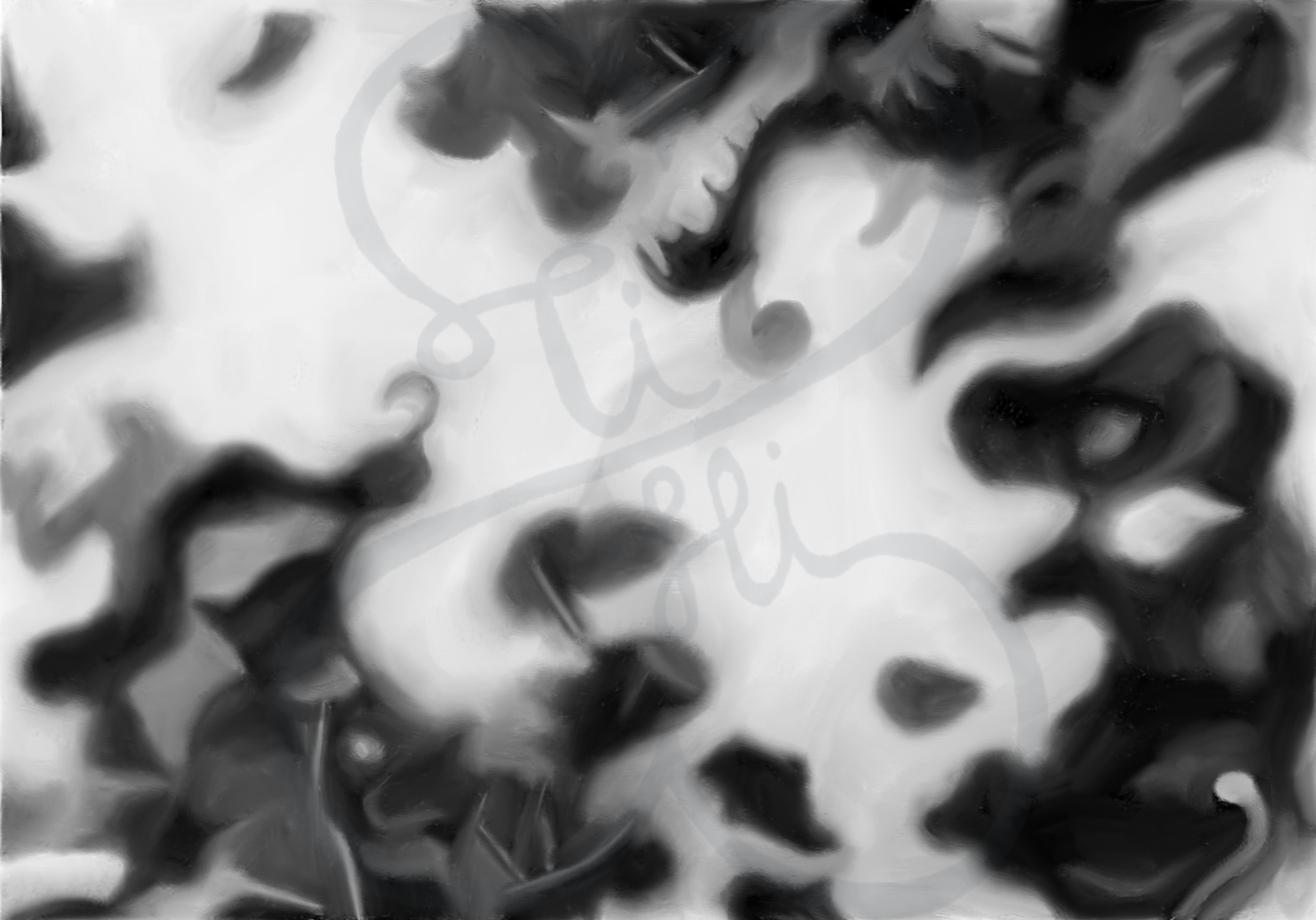 Bazaart_15D24425-9ADE-4F1A-B528-D5E606D2A6BF.png