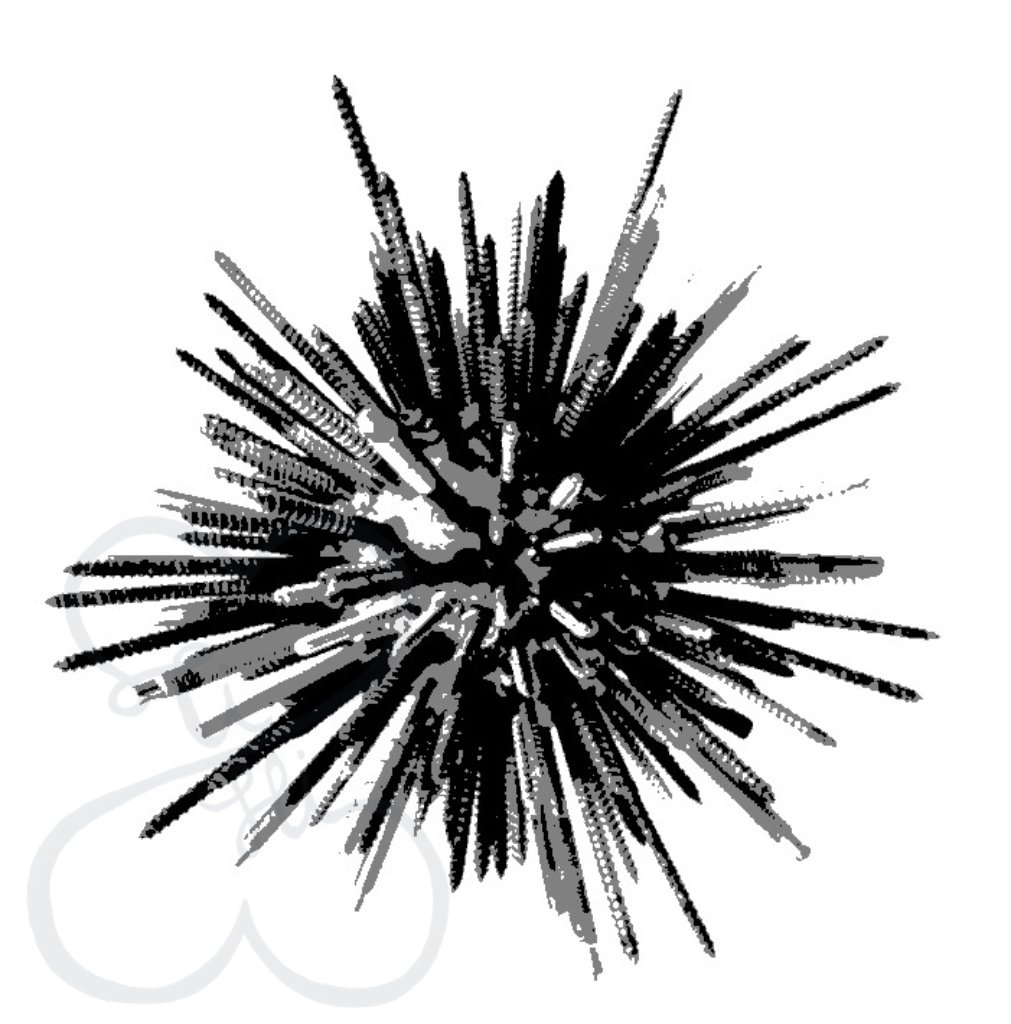 Bazaart_8E85CB92-F8FA-4318-8268-E393E002FE42.jpeg