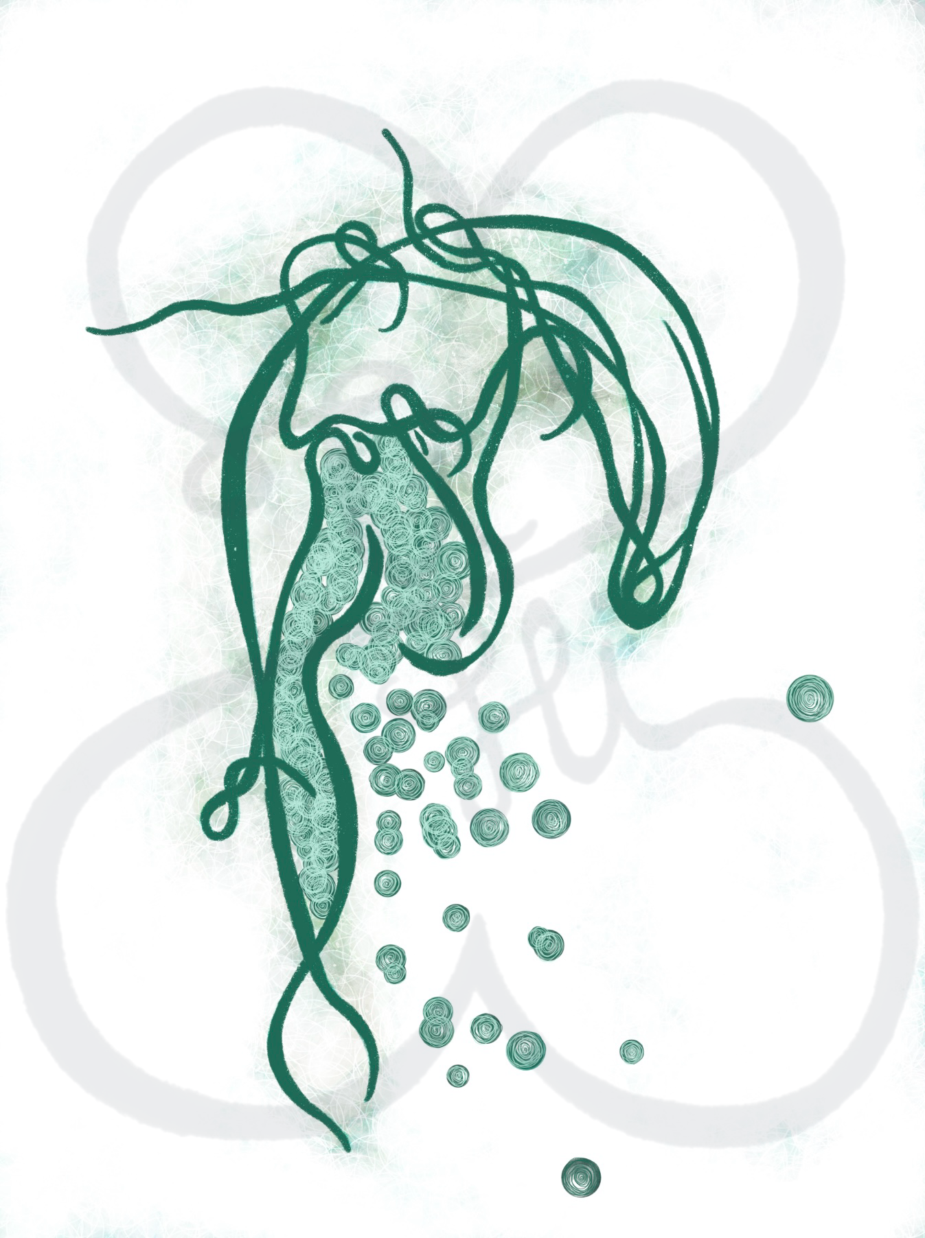Bazaart_8711FBE6-FF57-480A-9372-85254A7A87F1.png