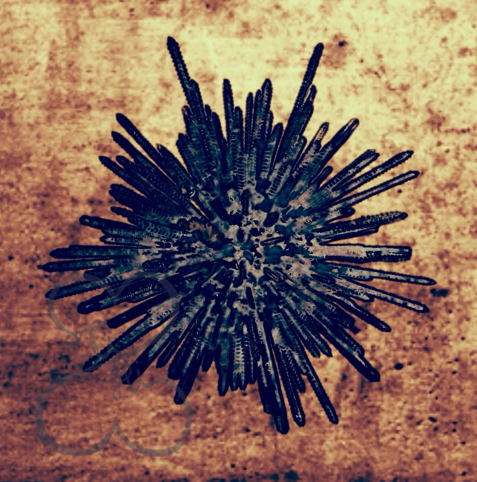 Bazaart_33E06AB4-1636-4A67-9263-D0F6CAACD93D.jpeg