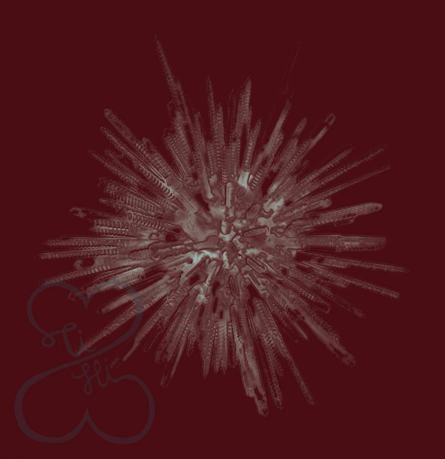 Bazaart_E556F815-9093-4238-8AA1-D0341FAAF89B.jpeg