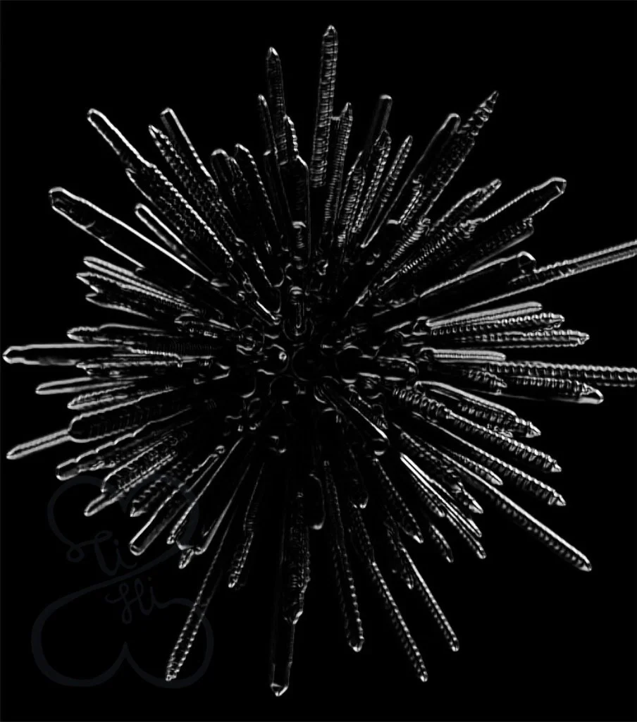 Bazaart_0E547BEE-4F54-48E6-999E-117D02BF2781.jpeg