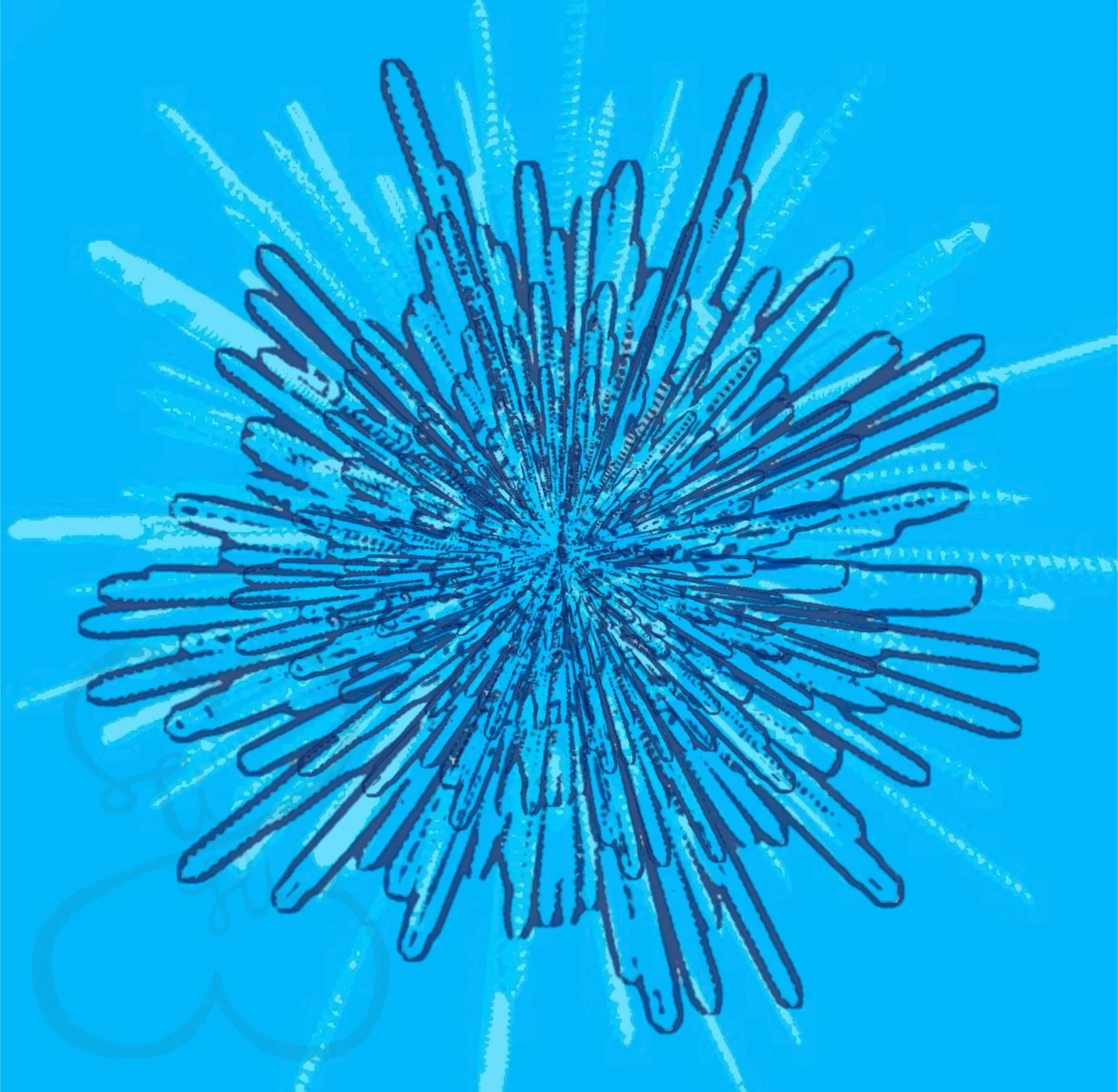 Bazaart_CC27066C-F26E-4366-B95D-0540D47B3822.jpeg