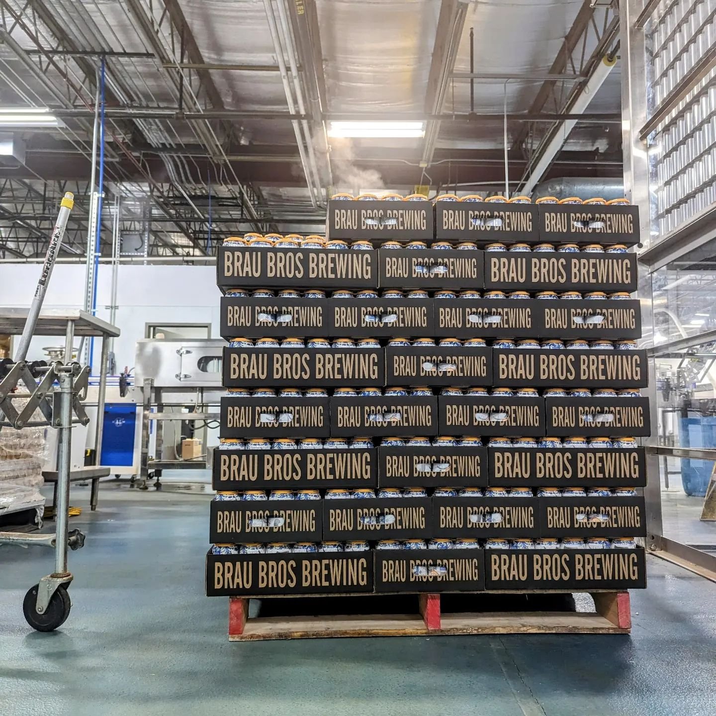 Wednesdays are for a pallet if White Cap. ☀️