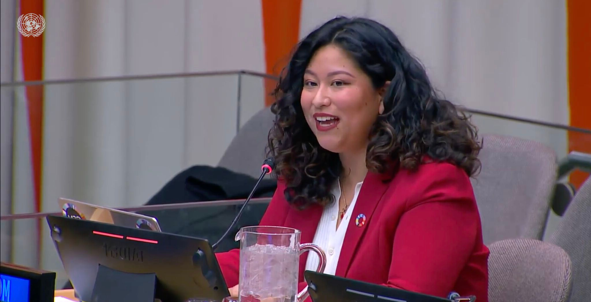 Alejandra Speaking at the United Nations  HQ