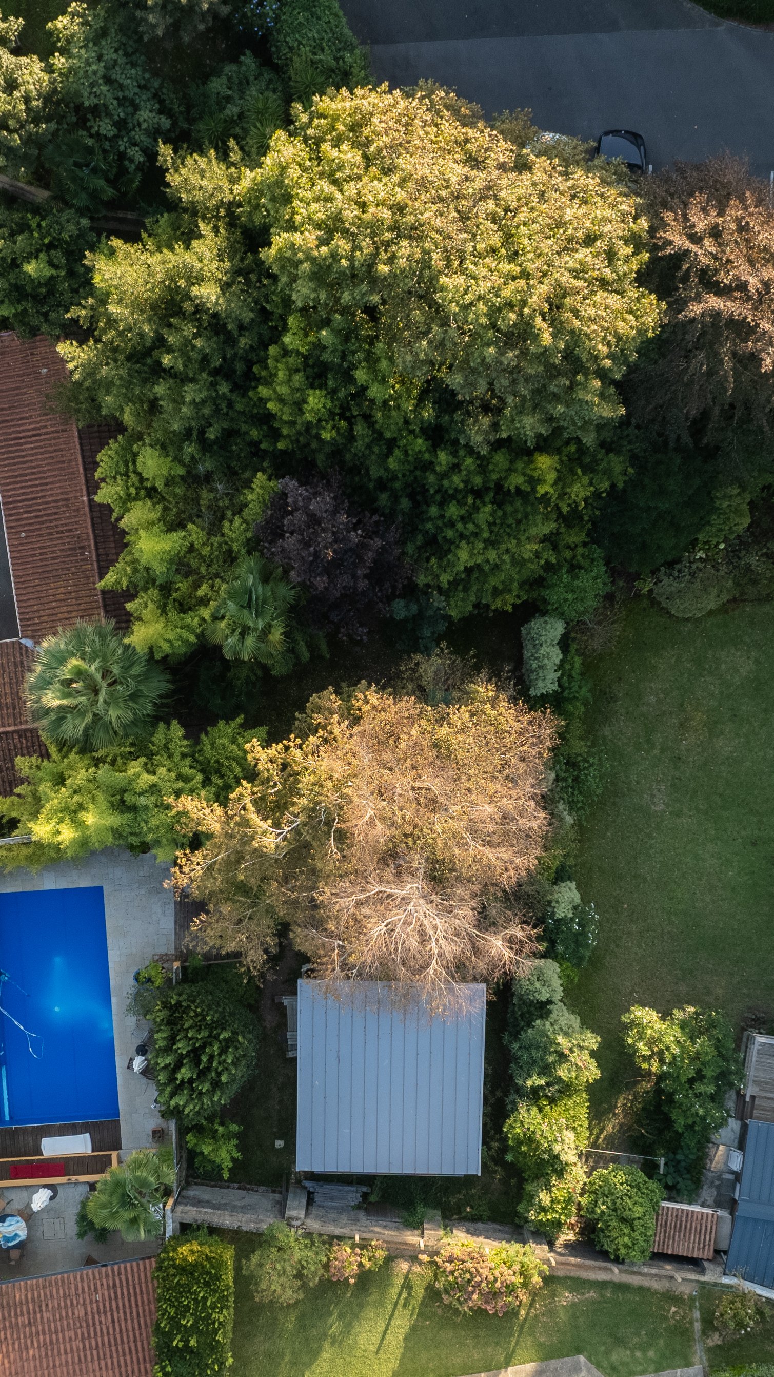 DJI_0048.jpg