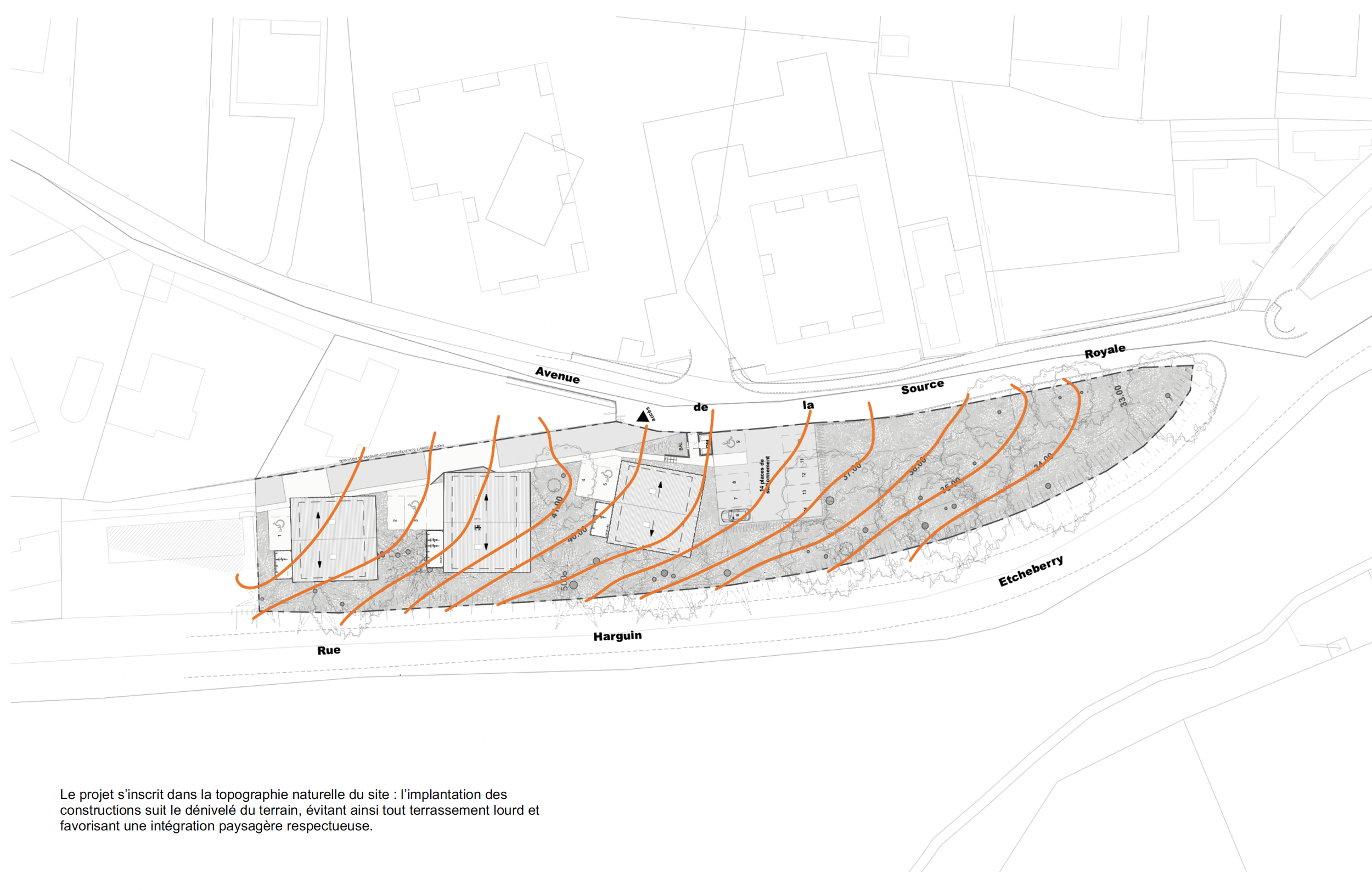 AM555_Erreka-topographie.png