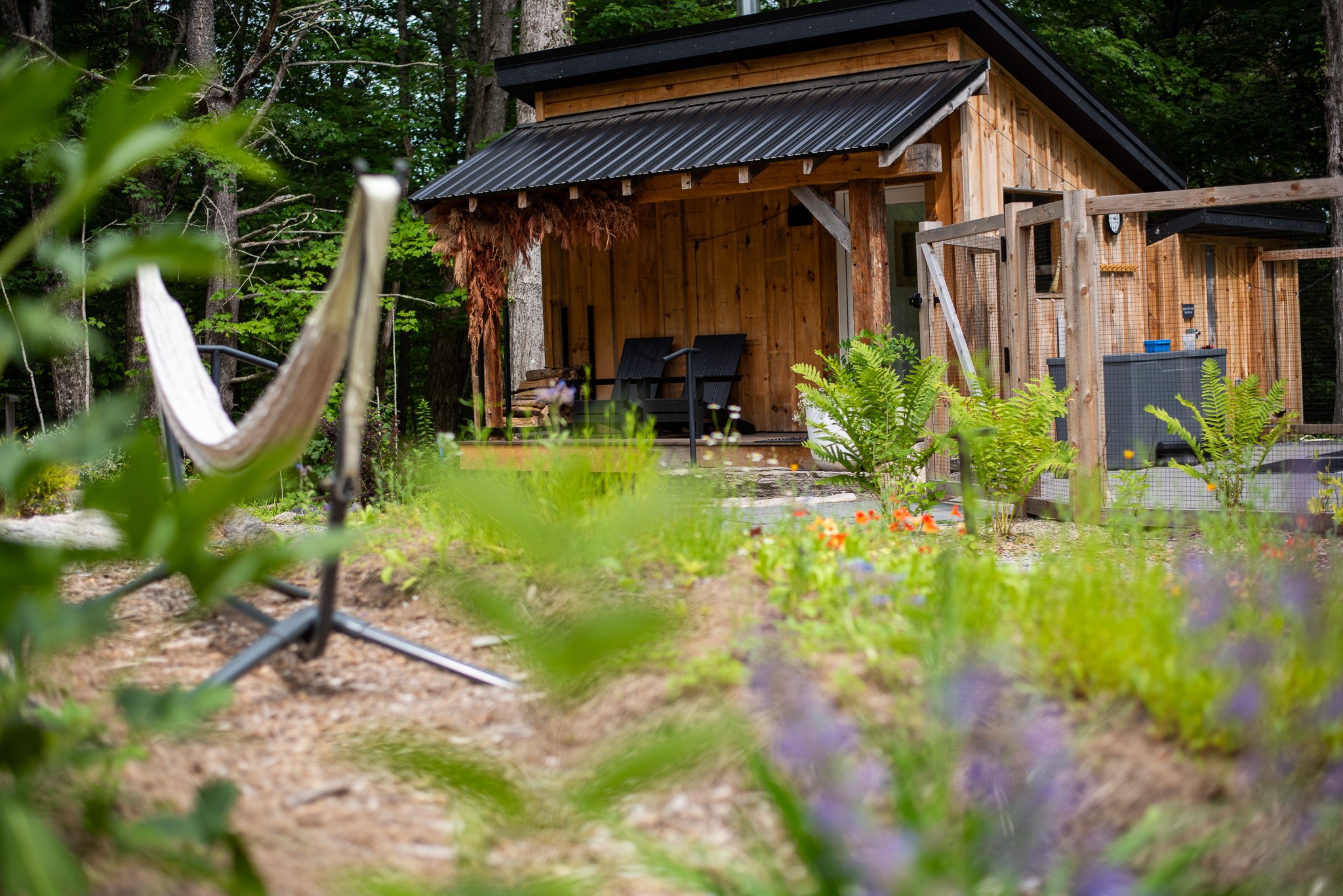 Wooden hut with black metal roof in a forested area, surrounded by green foliage and plants.
