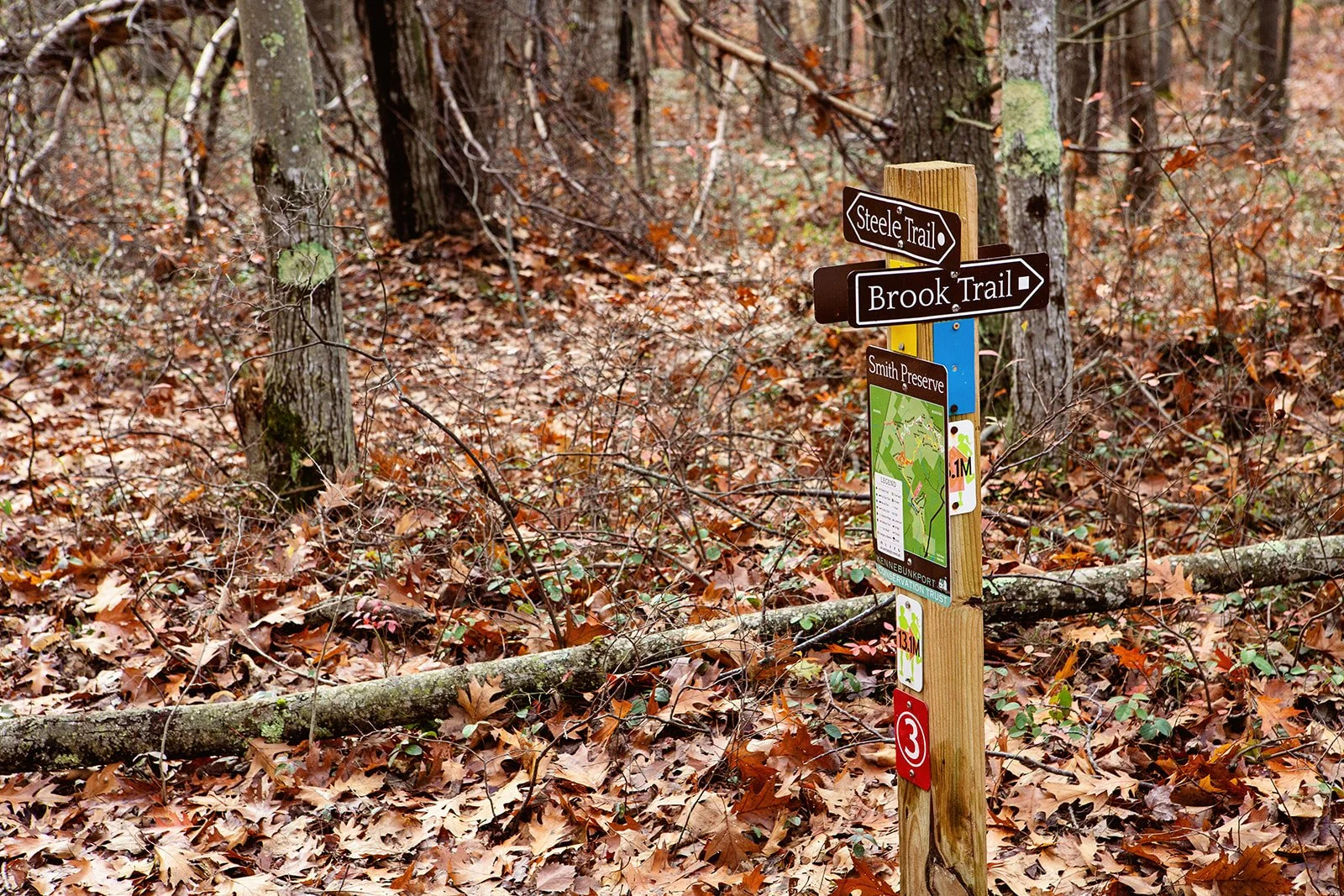 SmithPreserve_Tess Johnson Photo(2).jpg