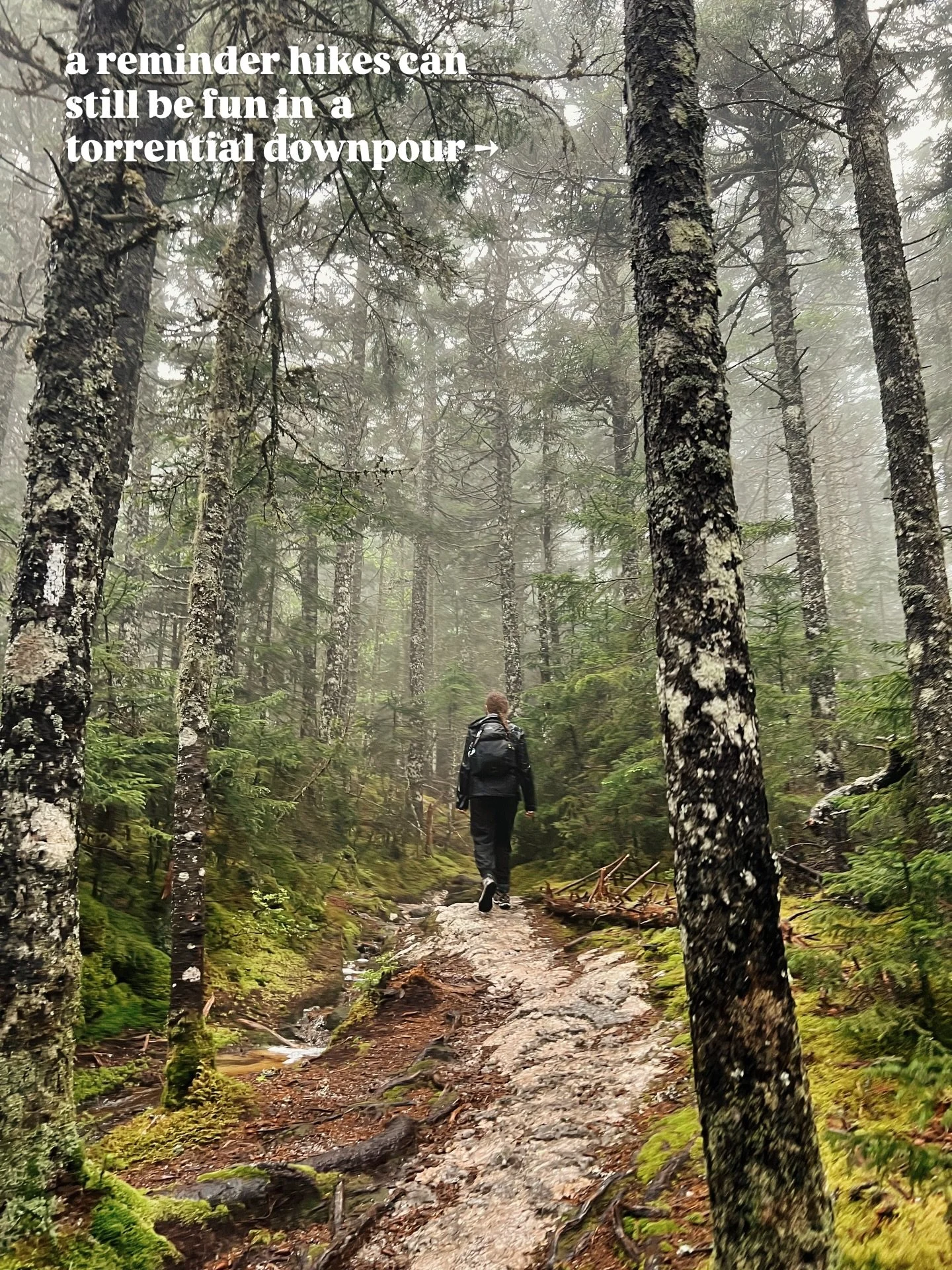 📍Old Speck Mountain

Comment &ldquo;hike&rdquo; for the trail details!!🥾

@mainehikes 
@mainehikes 
@mainehikes