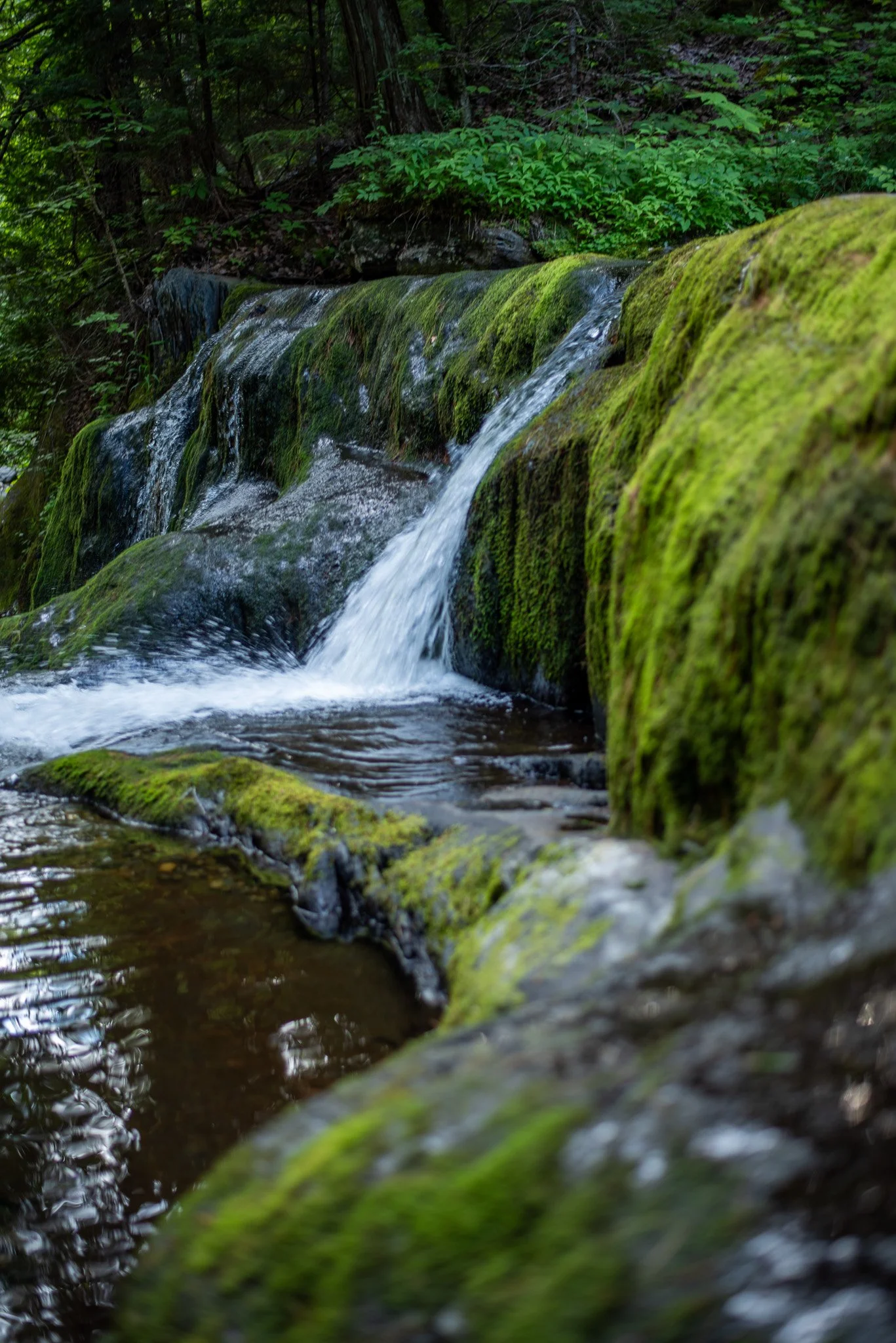 _DSC2585.jpg