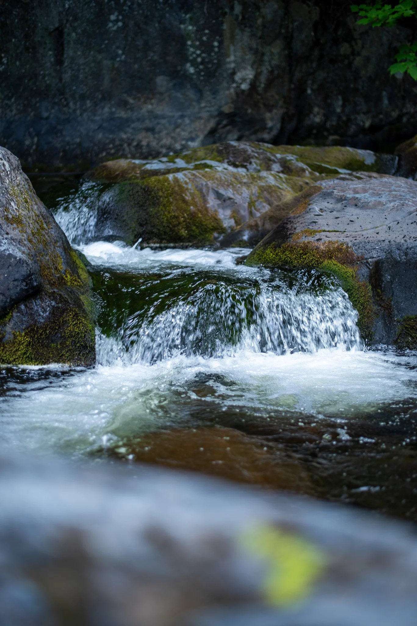 _DSC2594.jpg