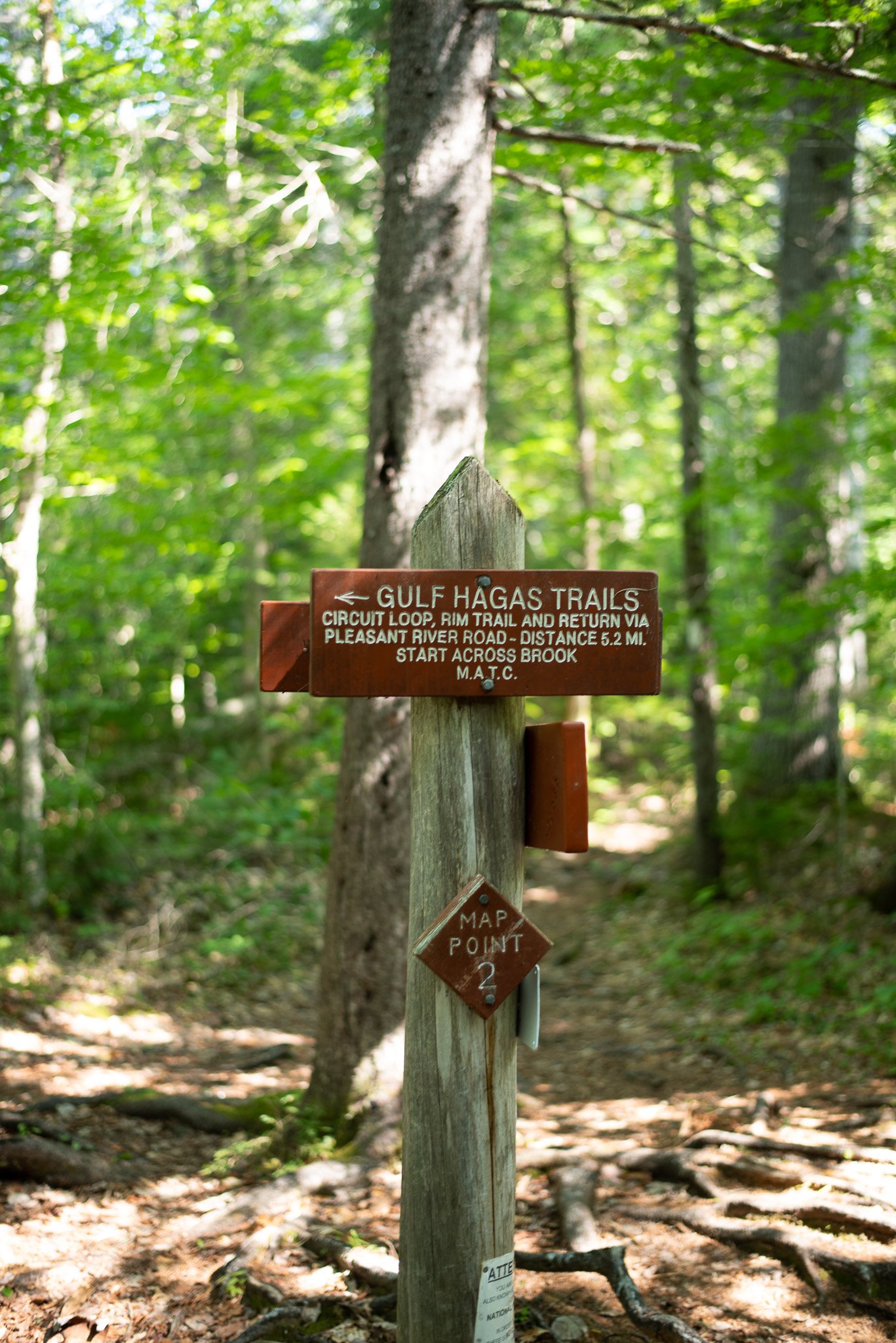 _DSC2786.jpg