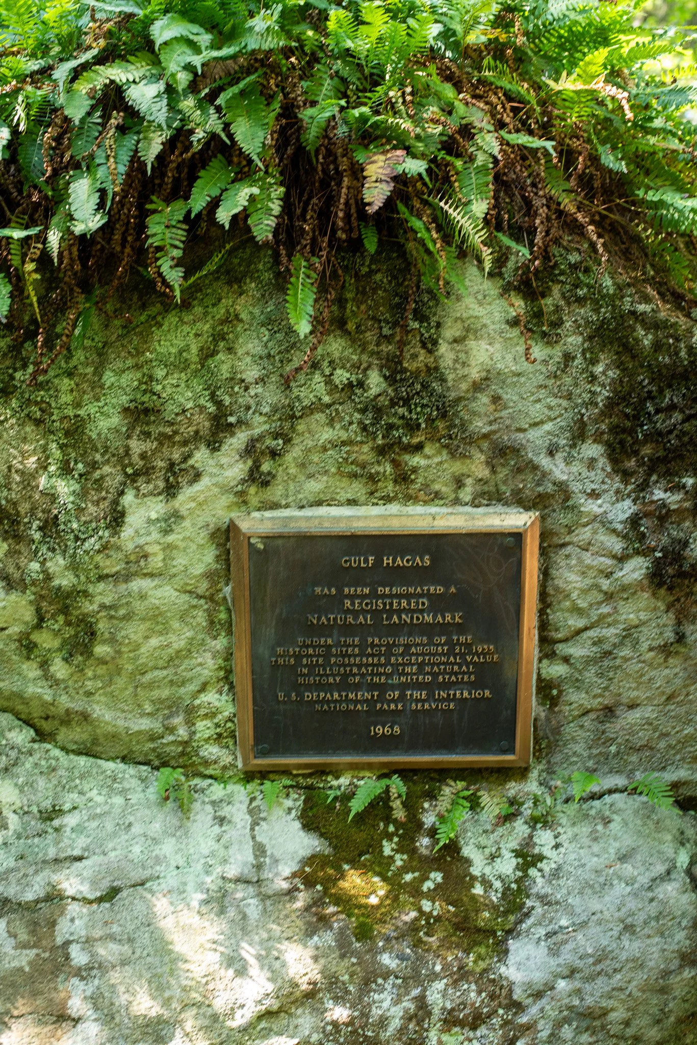 _DSC2811.jpg