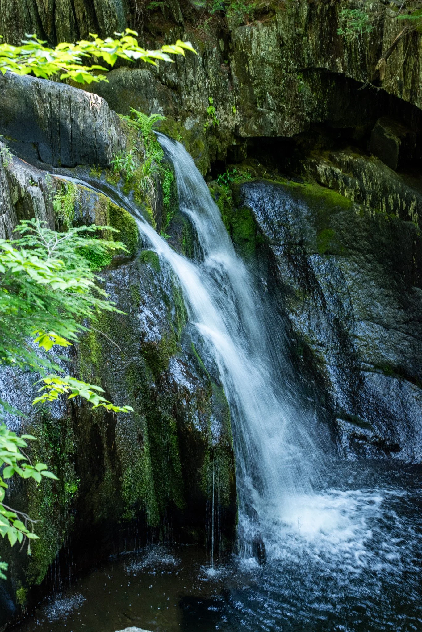 _DSC2829.jpg