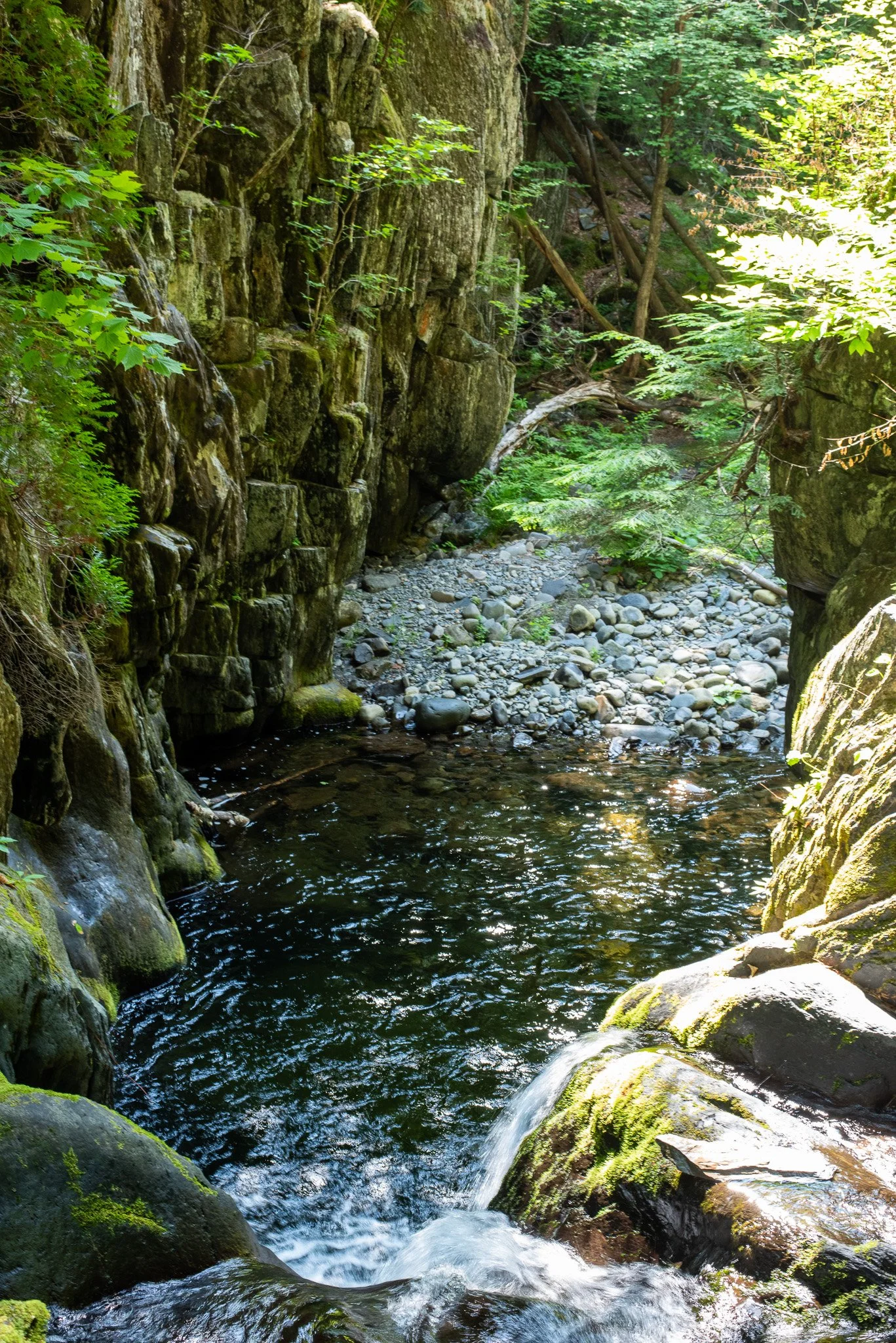 _DSC2855.jpg