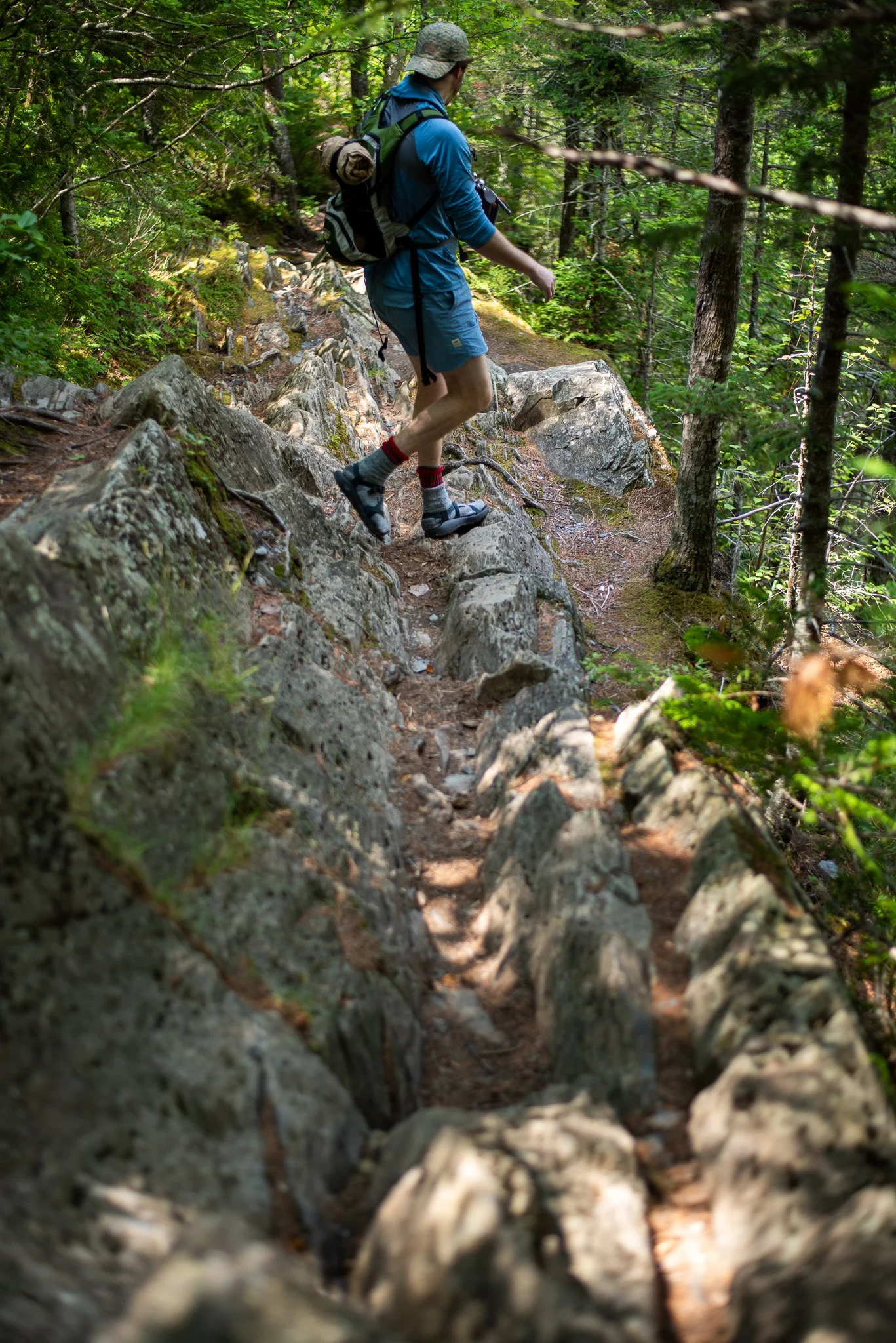 _DSC2907.jpg