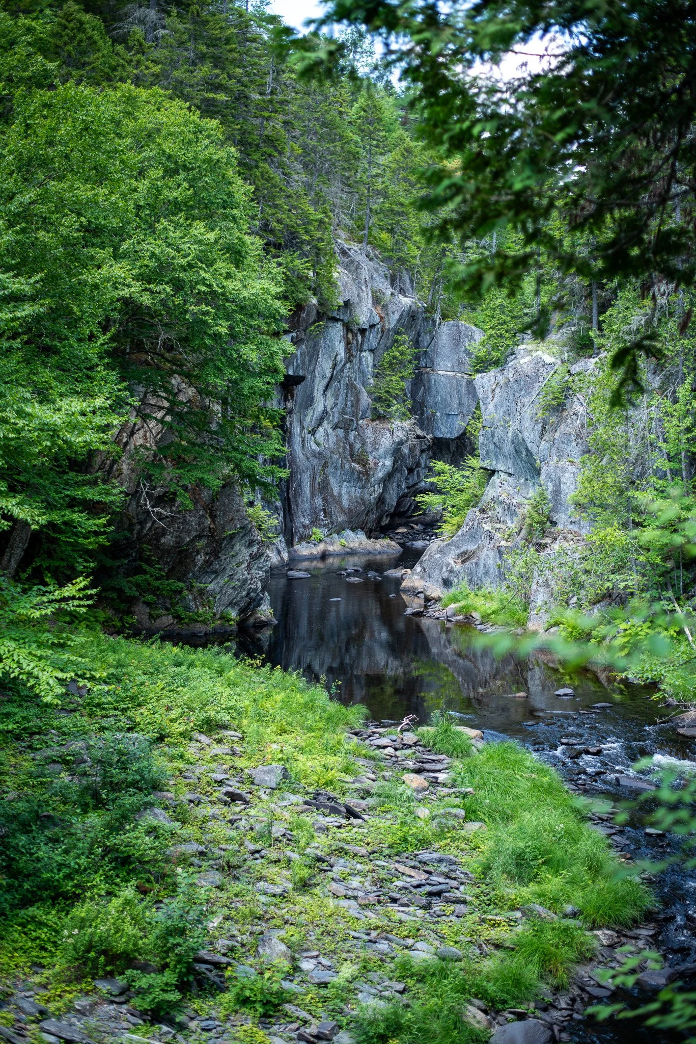 _DSC2931.jpg