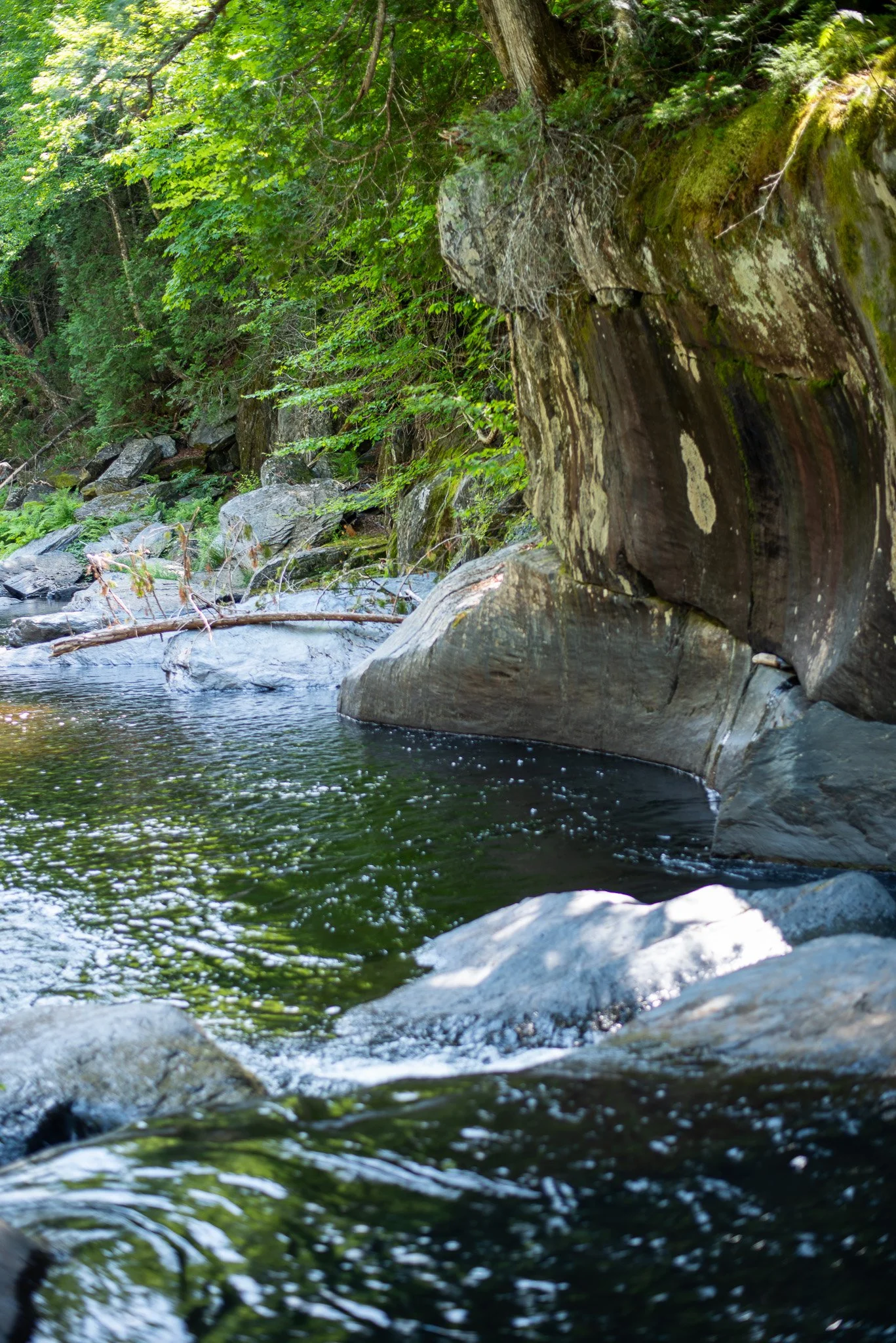 _DSC2934.jpg