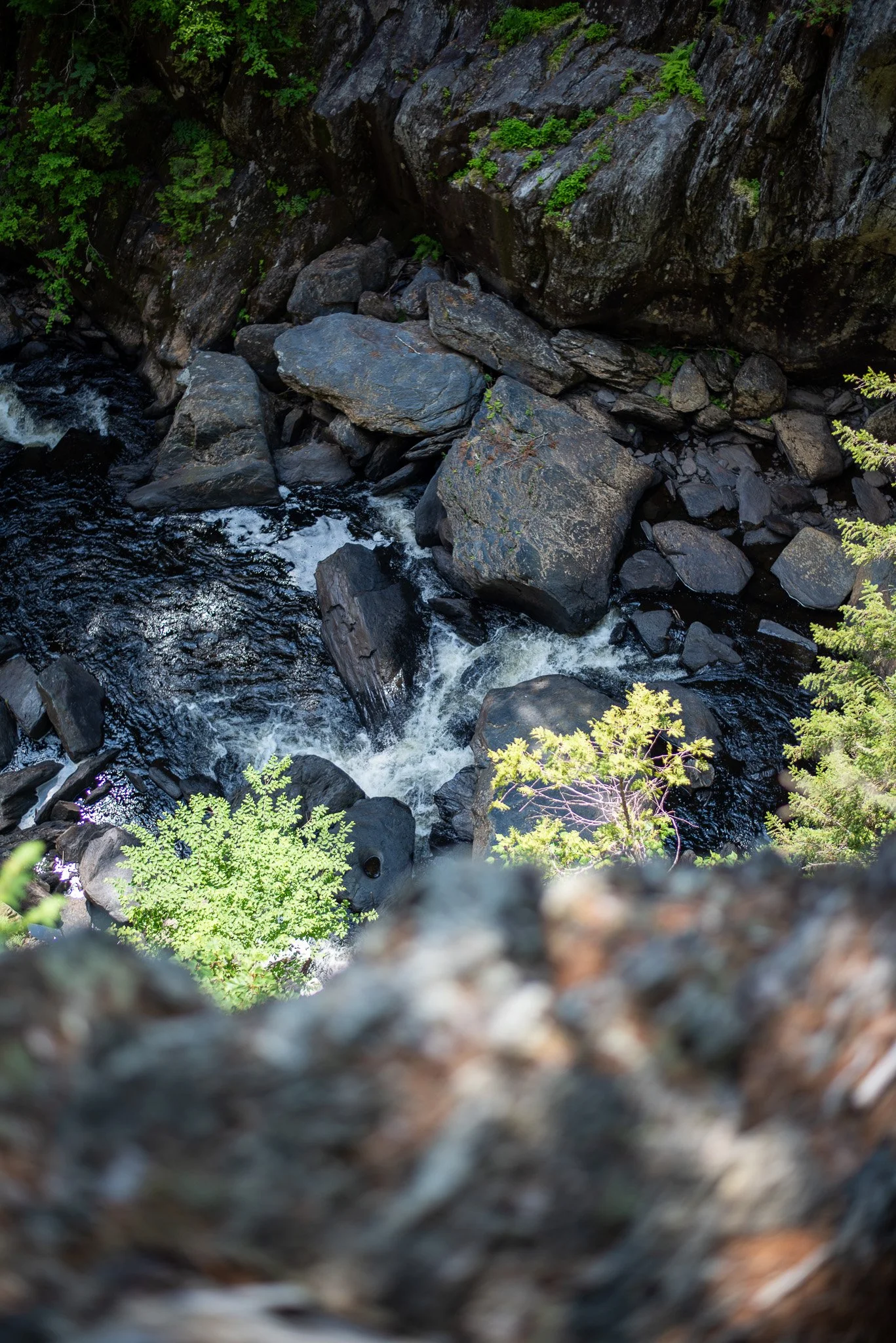 _DSC2953.jpg