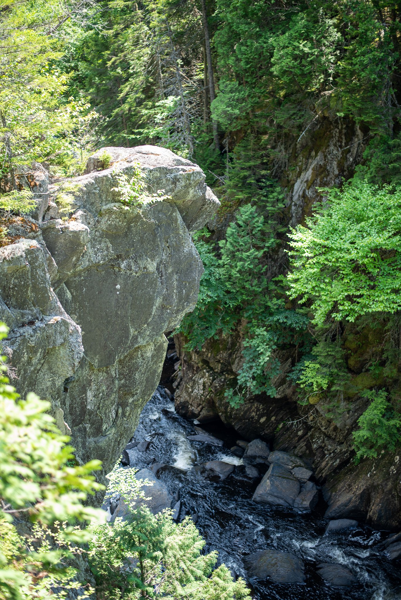 _DSC2955.jpg