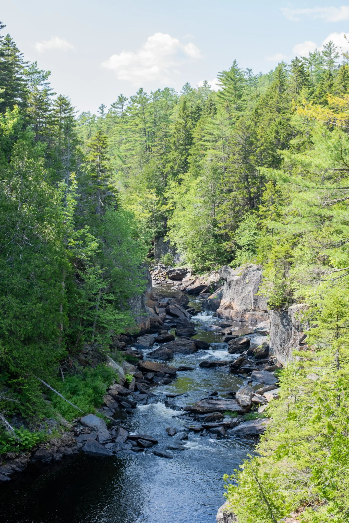 _DSC2975.jpg
