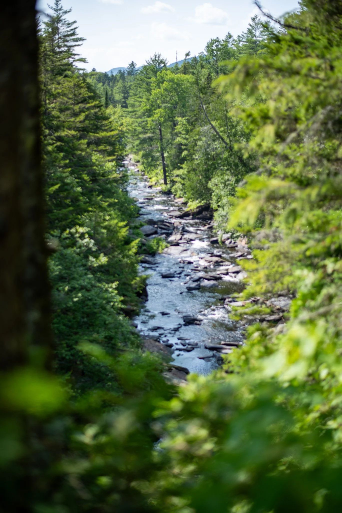 _DSC2991.jpg