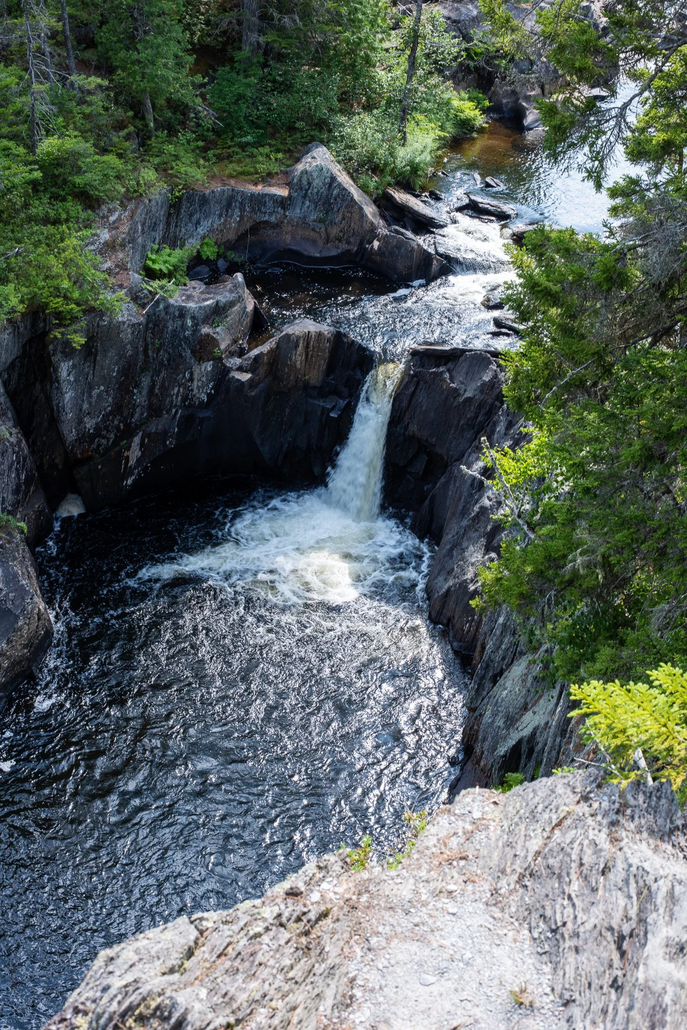 _DSC2995.jpg