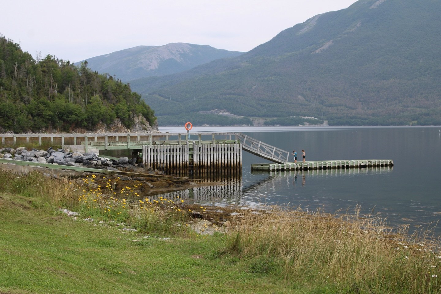 this campsite>>

#campsite #camping #grosmorne #newfoundland #grosmornenationalpark