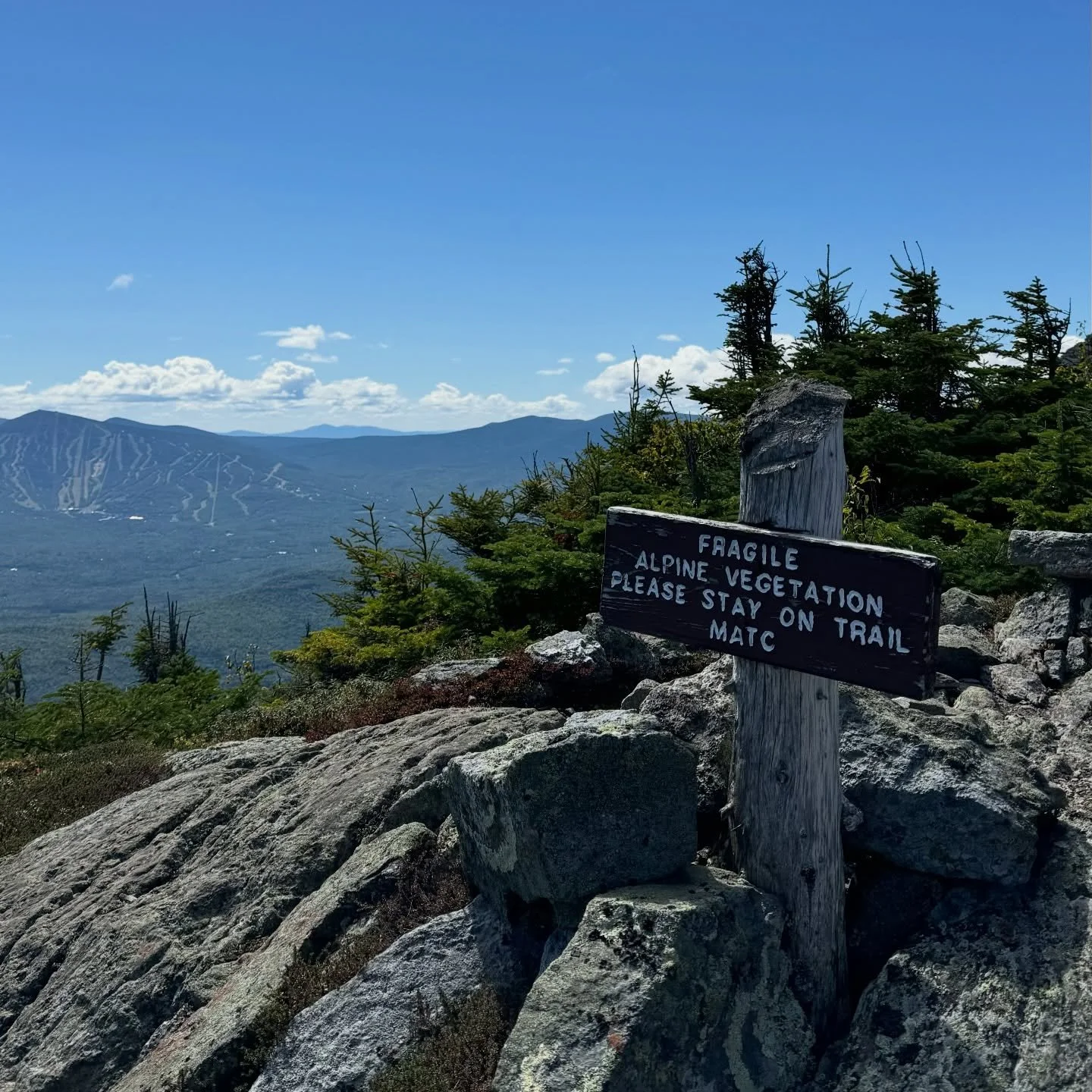 Dreaming of the Bigelows💭

#bigelows #bigelowpreserve #mountbigelow #mainehikes #maine