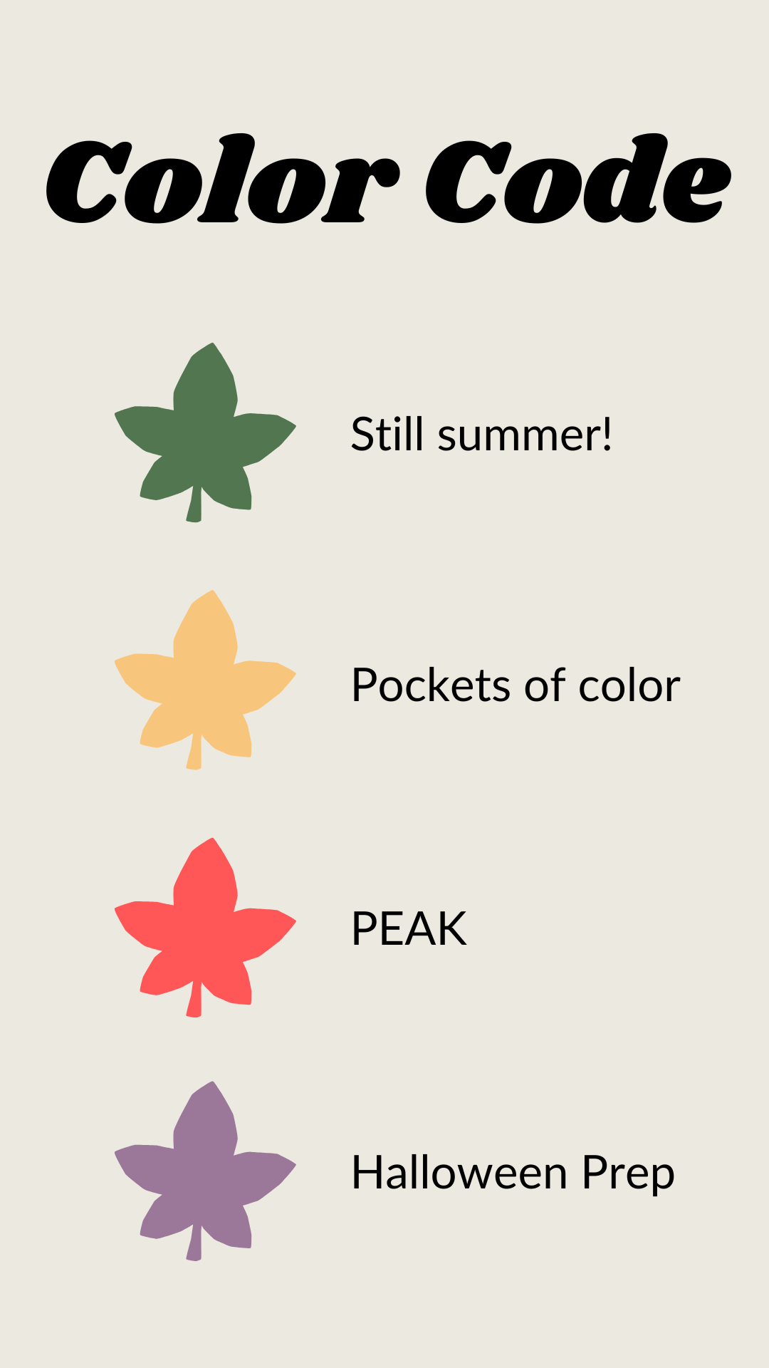 2025 Foliage Planner 1 (Mobile Video).png