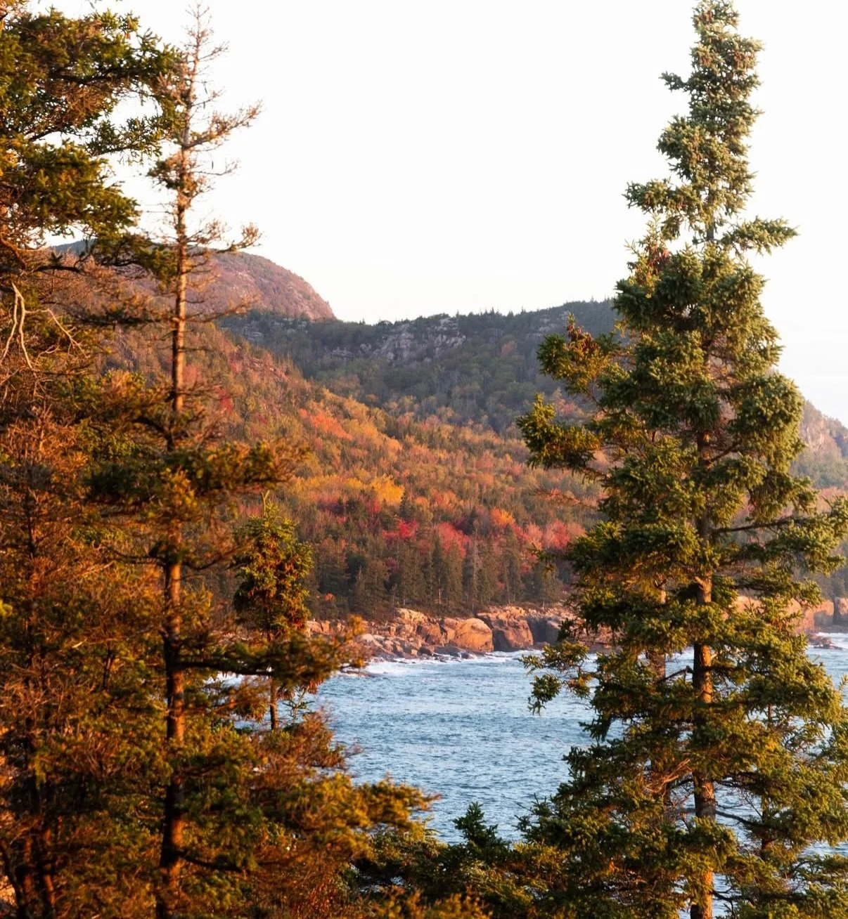 📍Otter Cliff, Acadia National Park

@nathans.zip 

@mainehikes
@mainehikes
@mainehikes 

#maine #mainehikes #mainehike #mainehiking #hiker