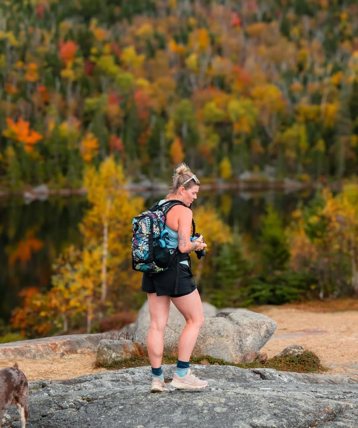 &amp; just like that, october is HERE!!! 🍁🍂🥾

@andreaedavis 

@mainehikes 
@mainehikes 
@mainehikes 

#fall #newenglandfall #mainehikes #mainefall #mainefoliage